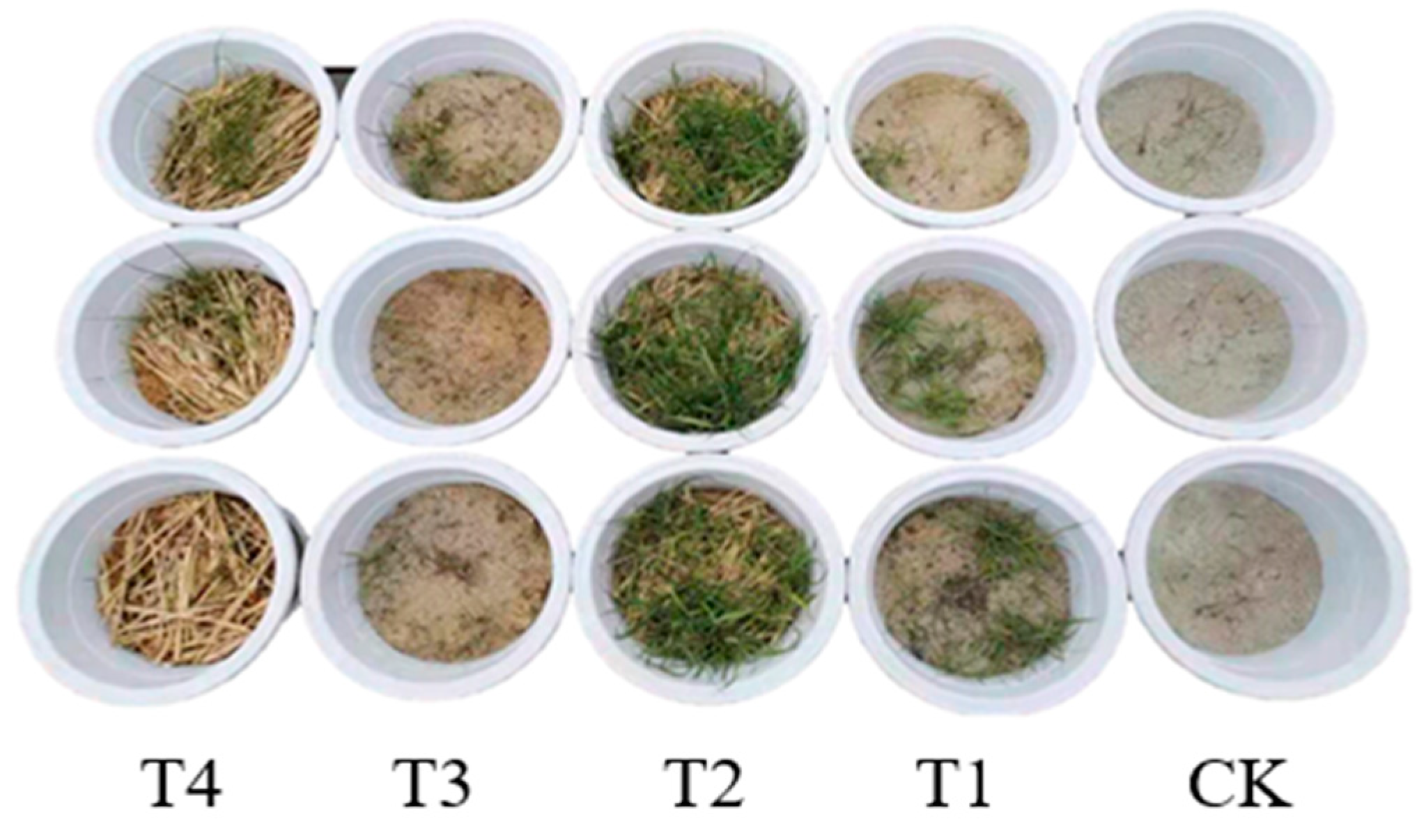 Sustainability 14 15387 g002