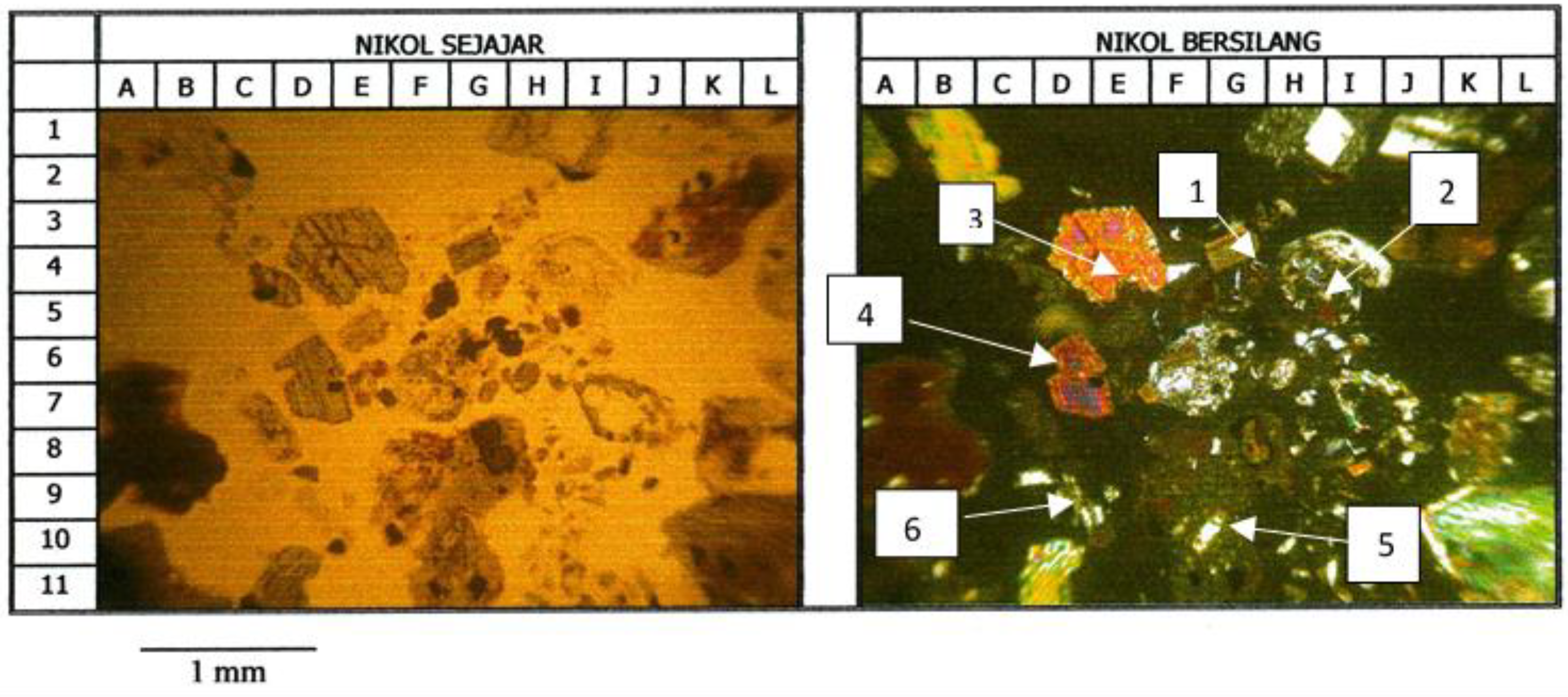 Sustainability 14 15394 g002