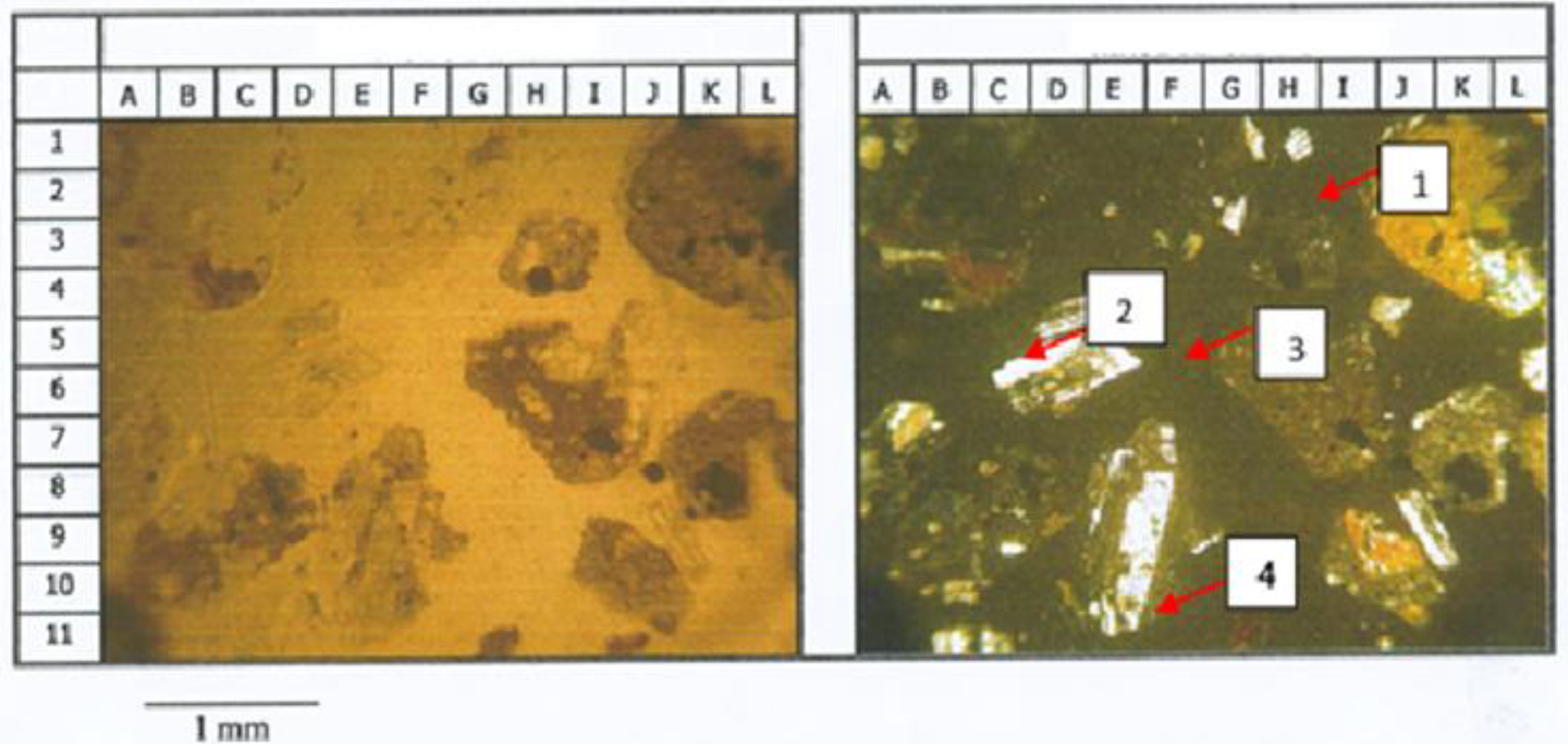 Sustainability 14 15394 g003