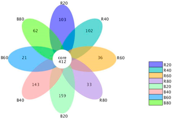 Dominant Fungal Communities Aggregate in the Shallow