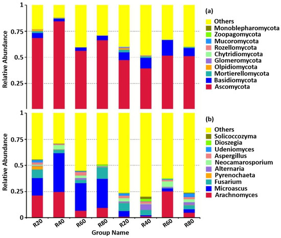 Dominant Fungal Communities Aggregate in the Shallow