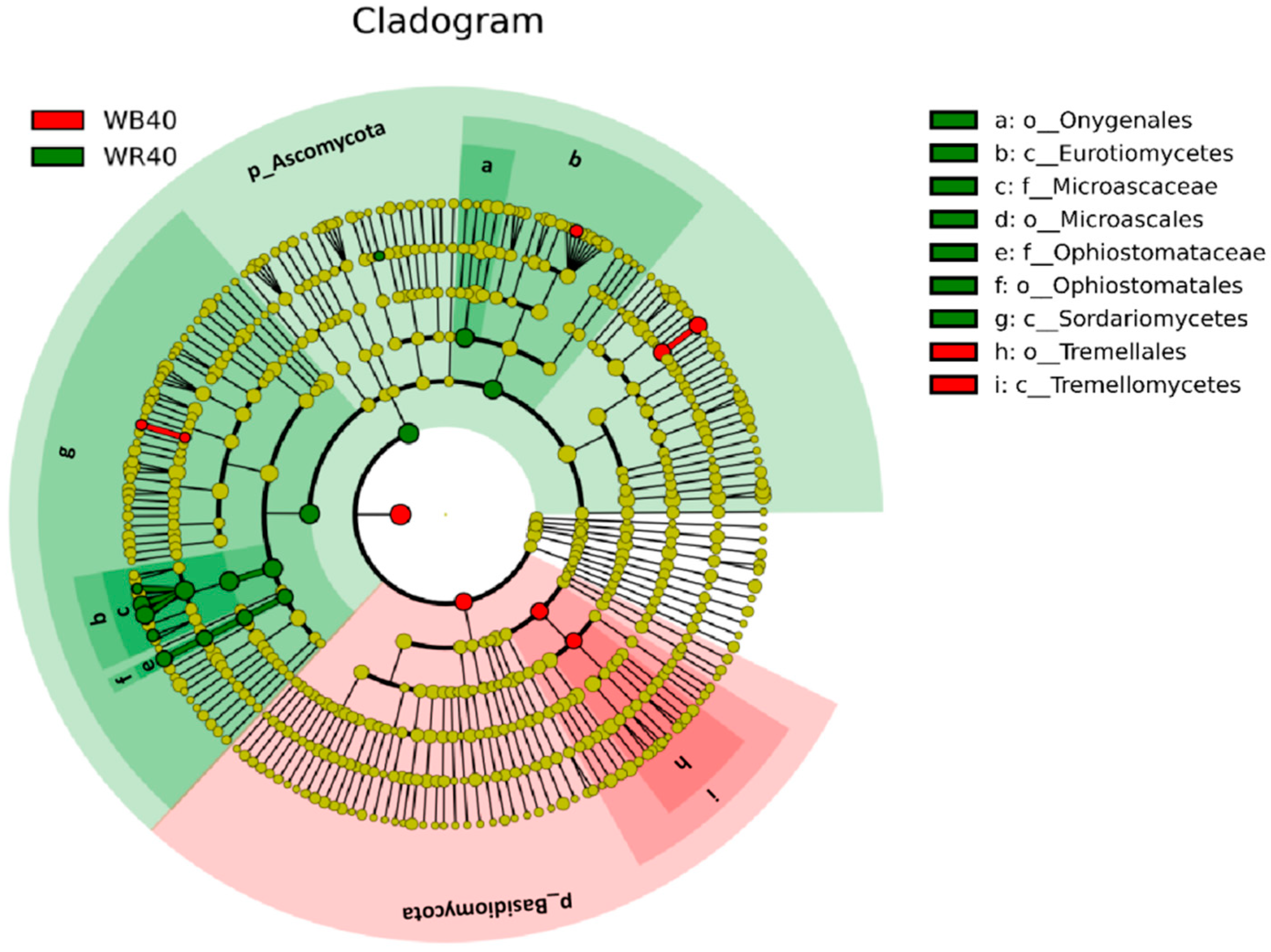 Sustainability 14 15423 g006 Sustainability 14 15423 g006