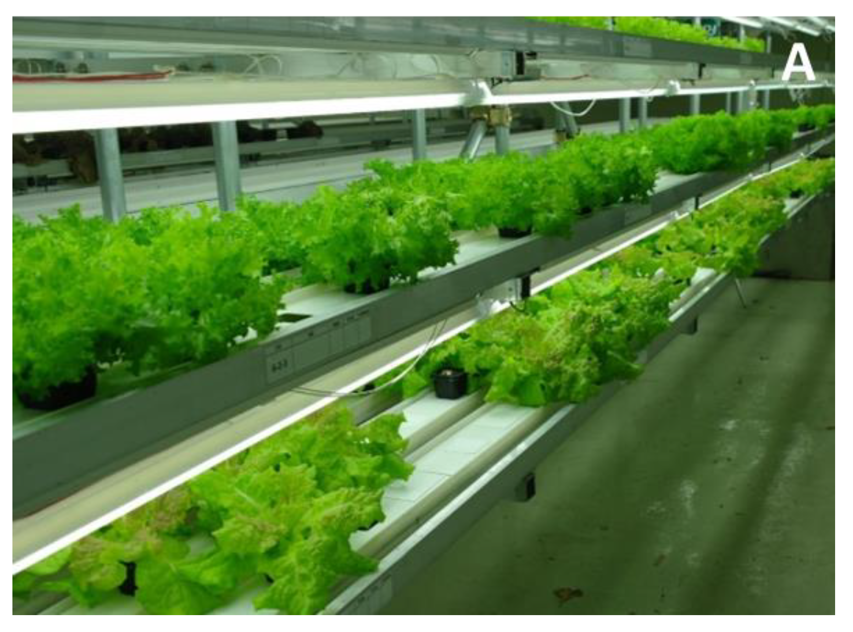 Sustainability 14 15468 g001a