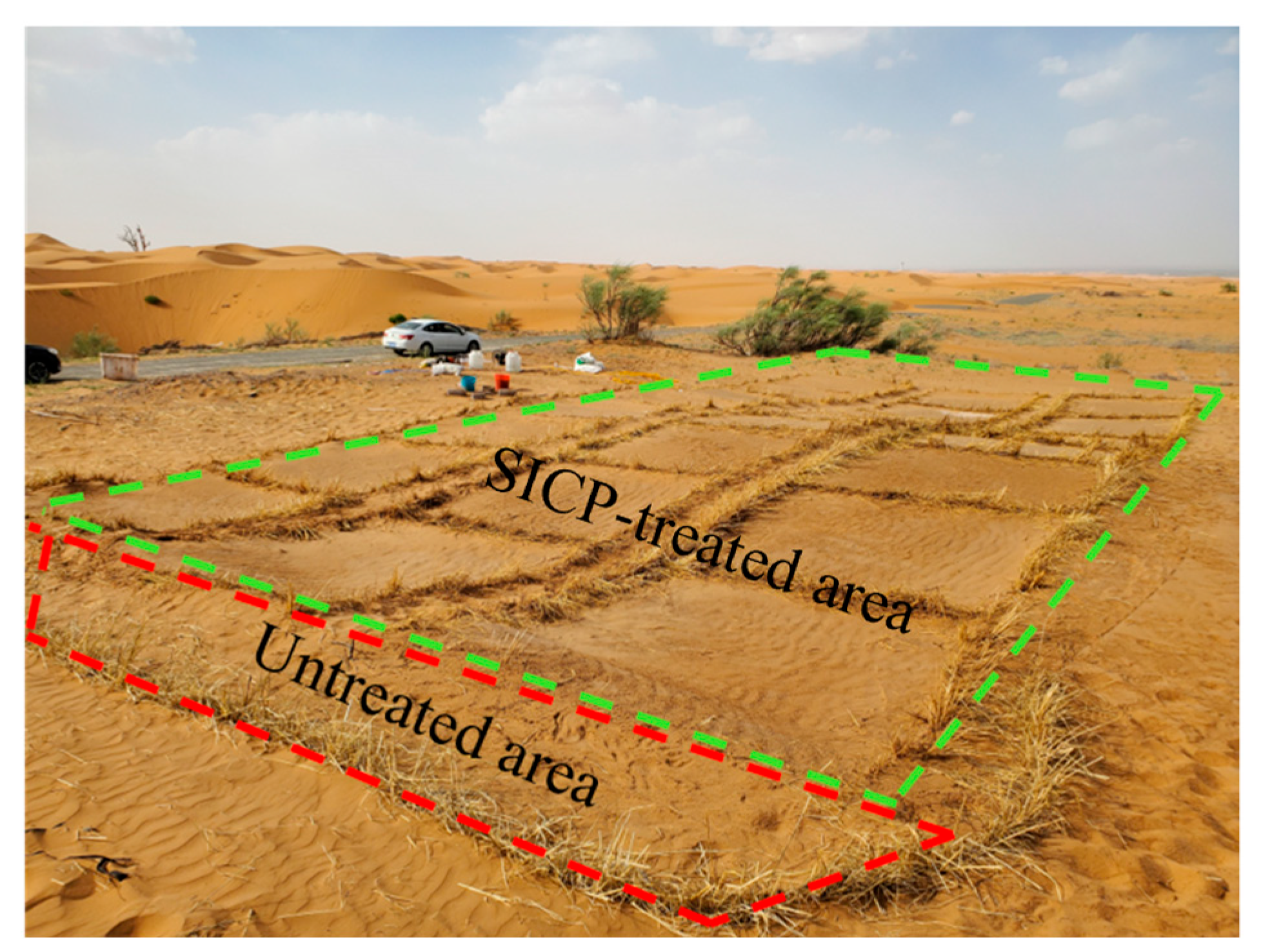 Sustainability 14 15474 g002