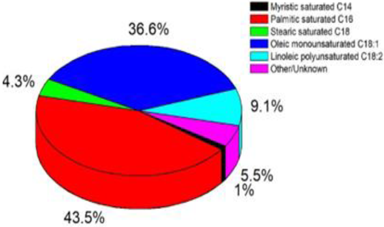 Sustainability 14 15487 g001 Sustainability 14 15487 g001