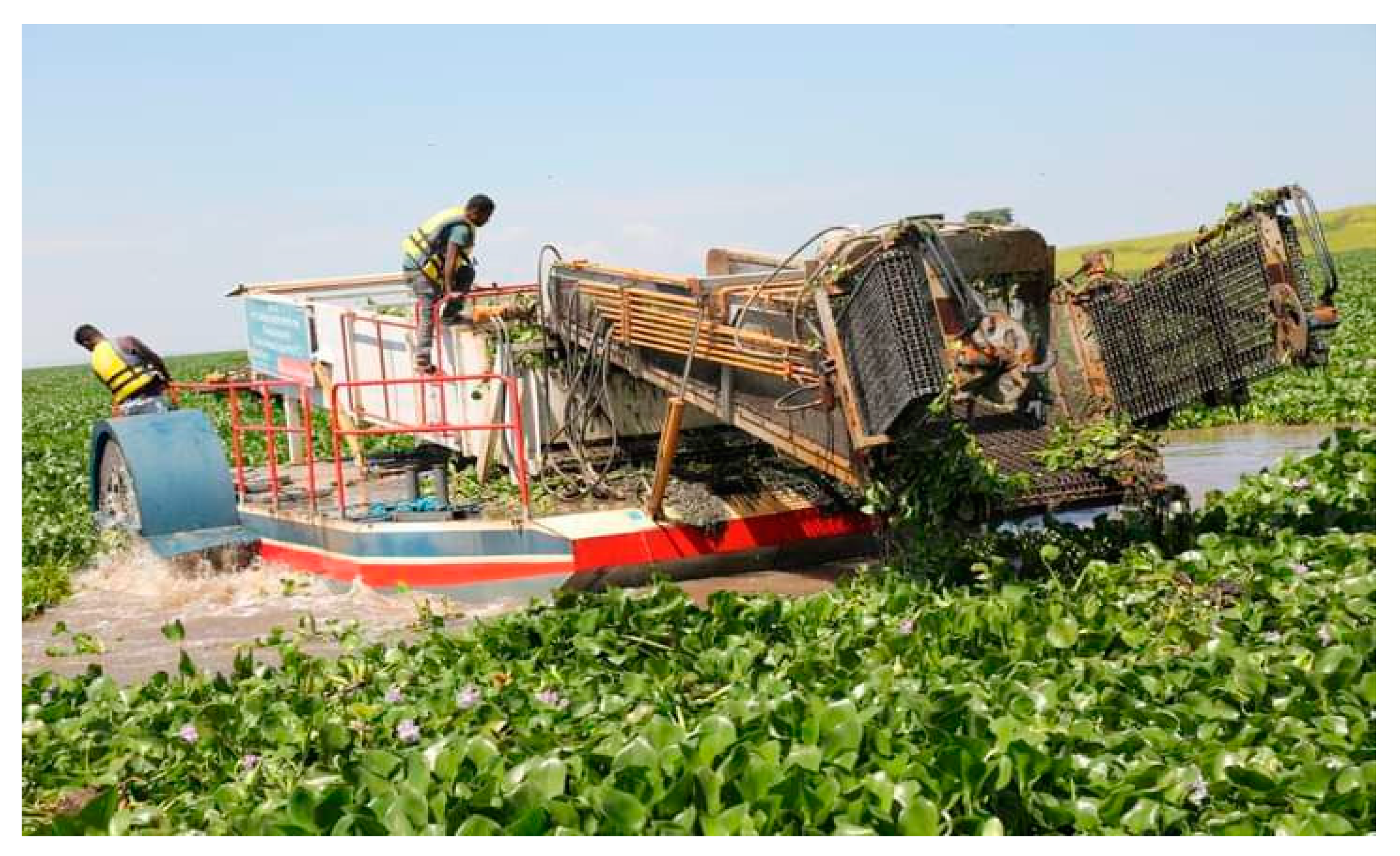 Sustainability 14 15501 g001