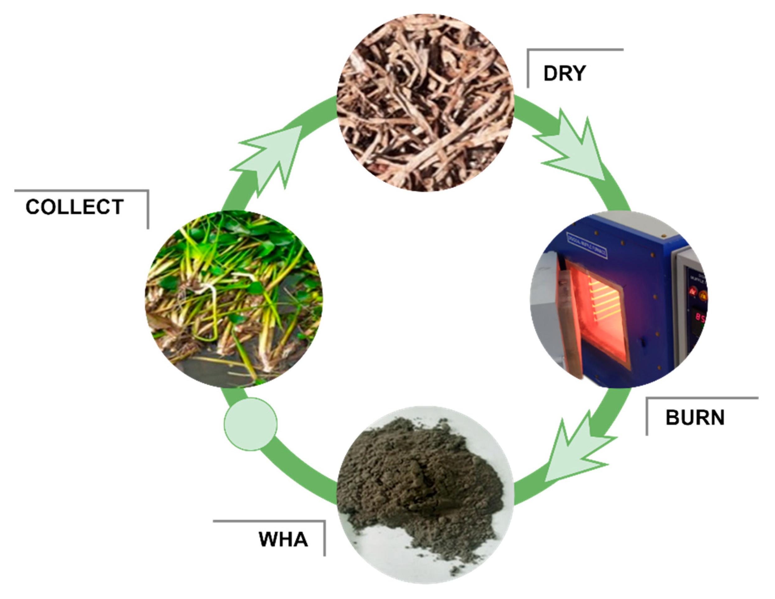 Sustainability 14 15501 g002