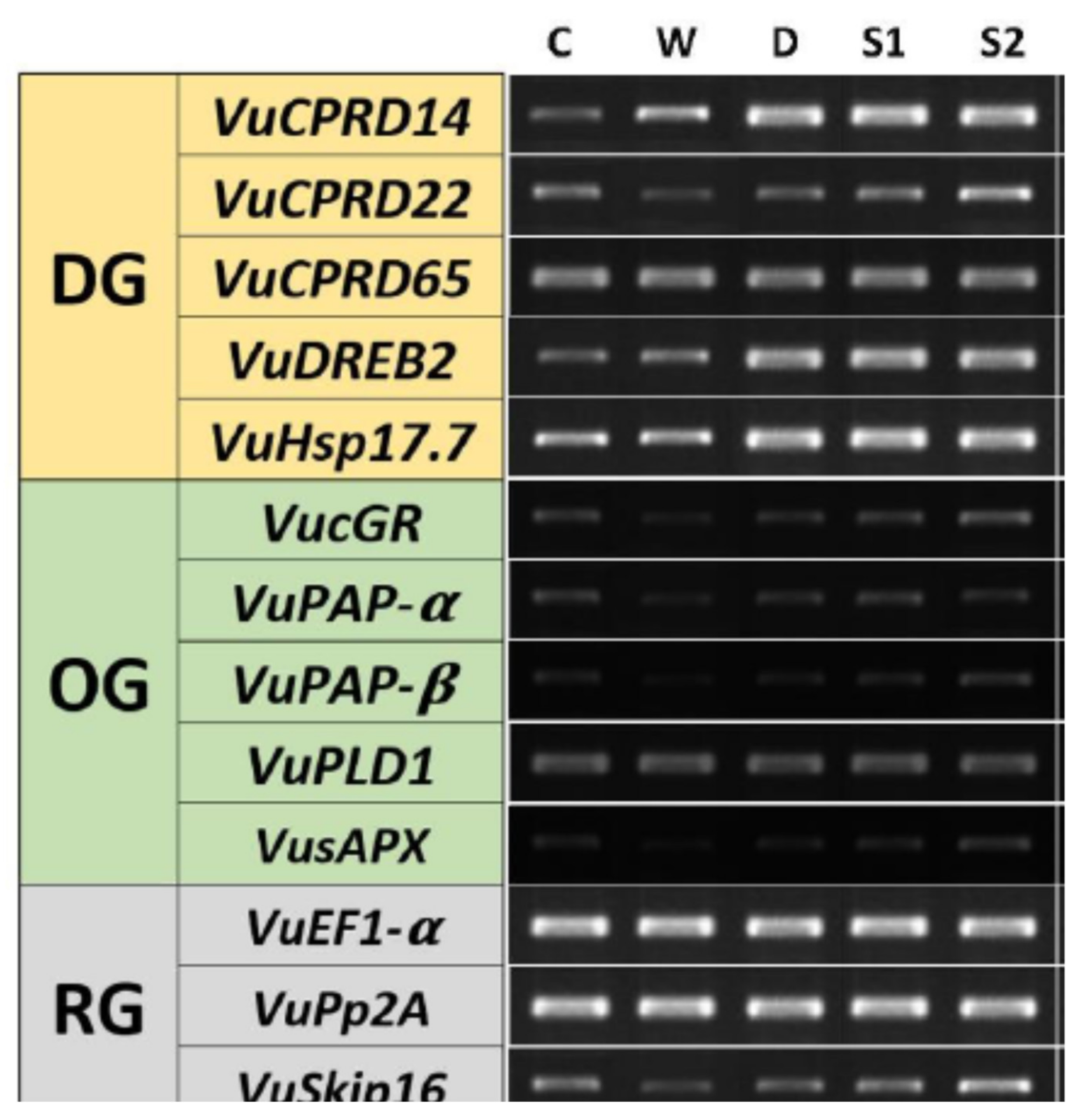 Sustainability 14 15503 g008 Sustainability 14 15503 g008