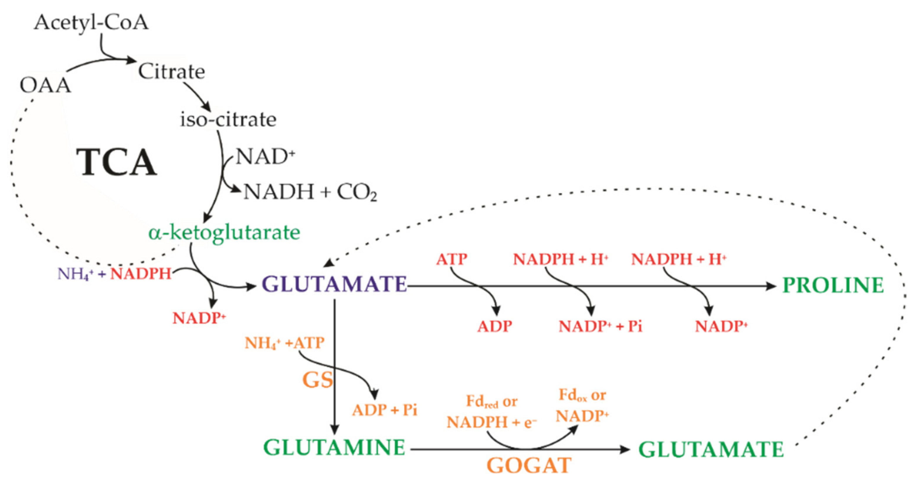 Sustainability 14 15503 g010 Sustainability 14 15503 g010