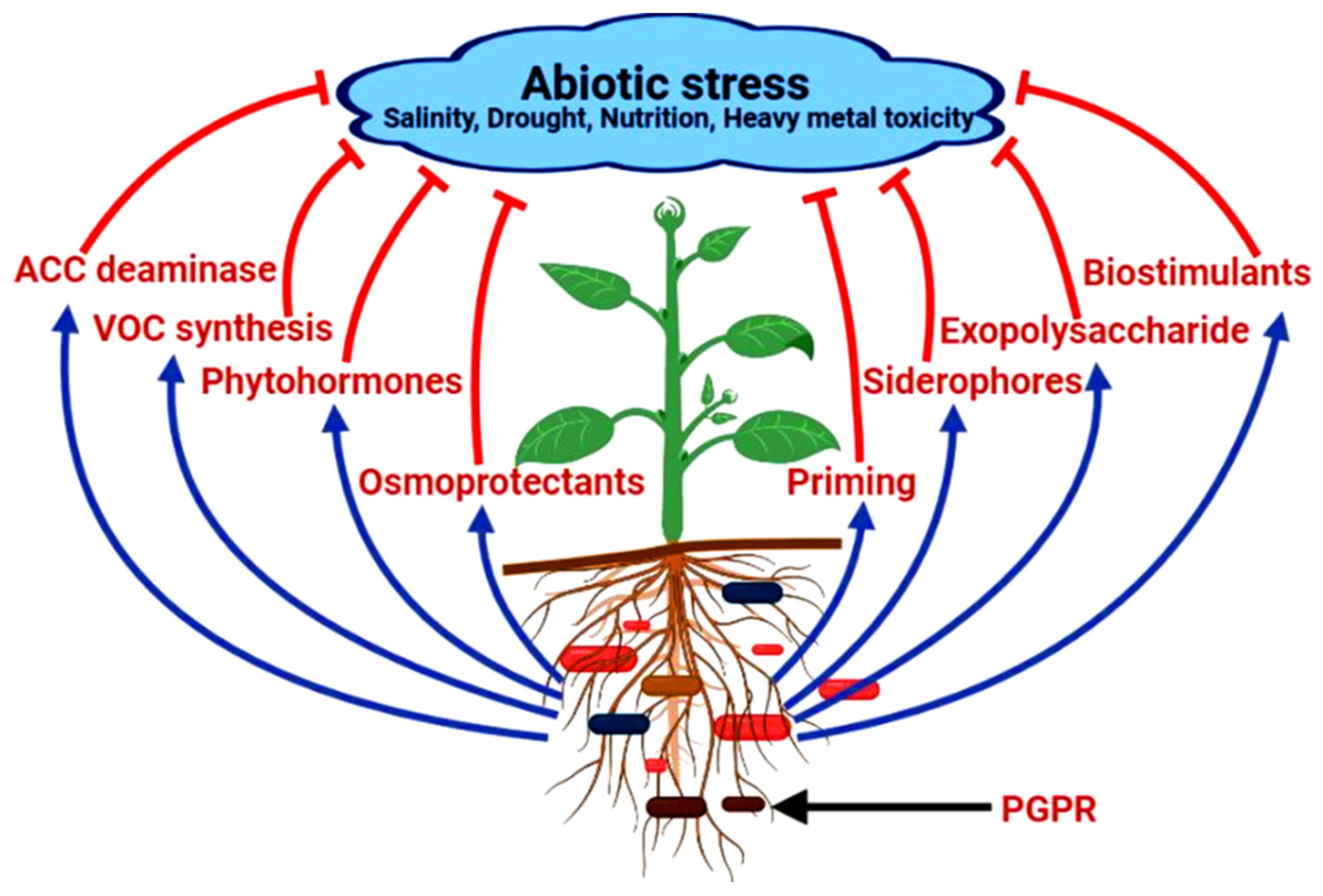 Sustainability 14 15514 g001 Sustainability 14 15514 g001