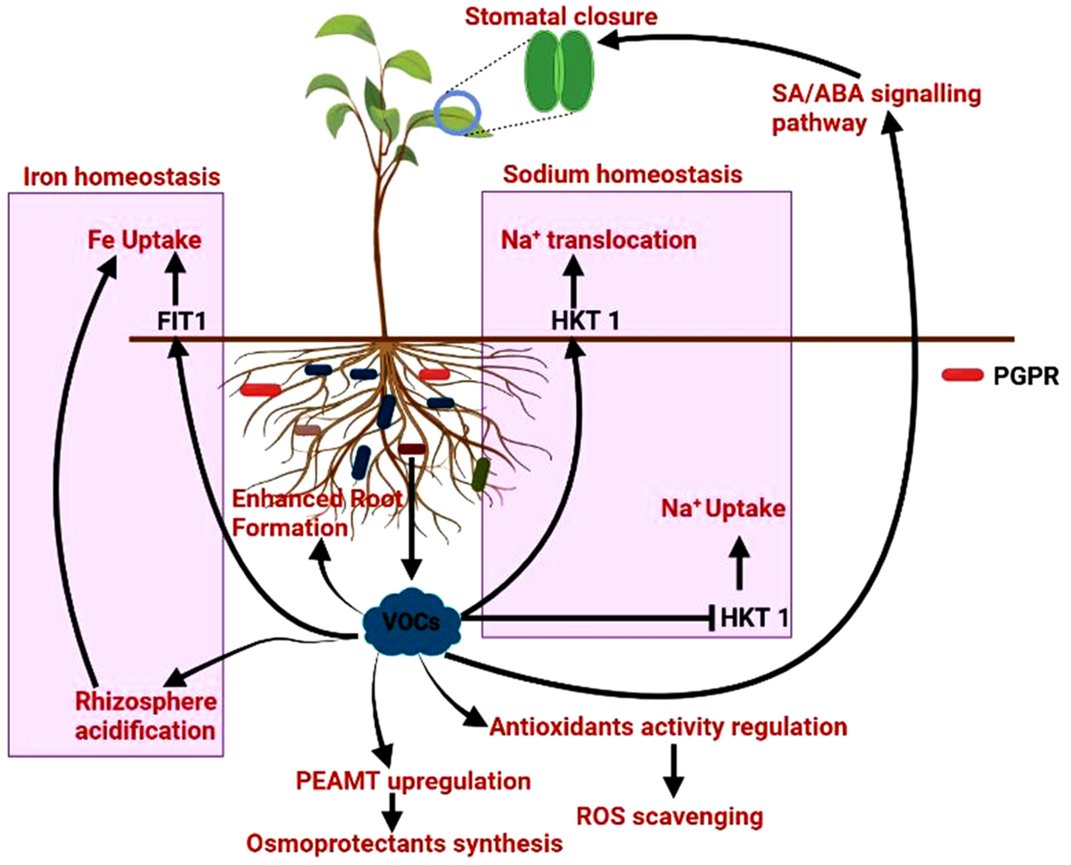 Sustainability 14 15514 g002 Sustainability 14 15514 g002