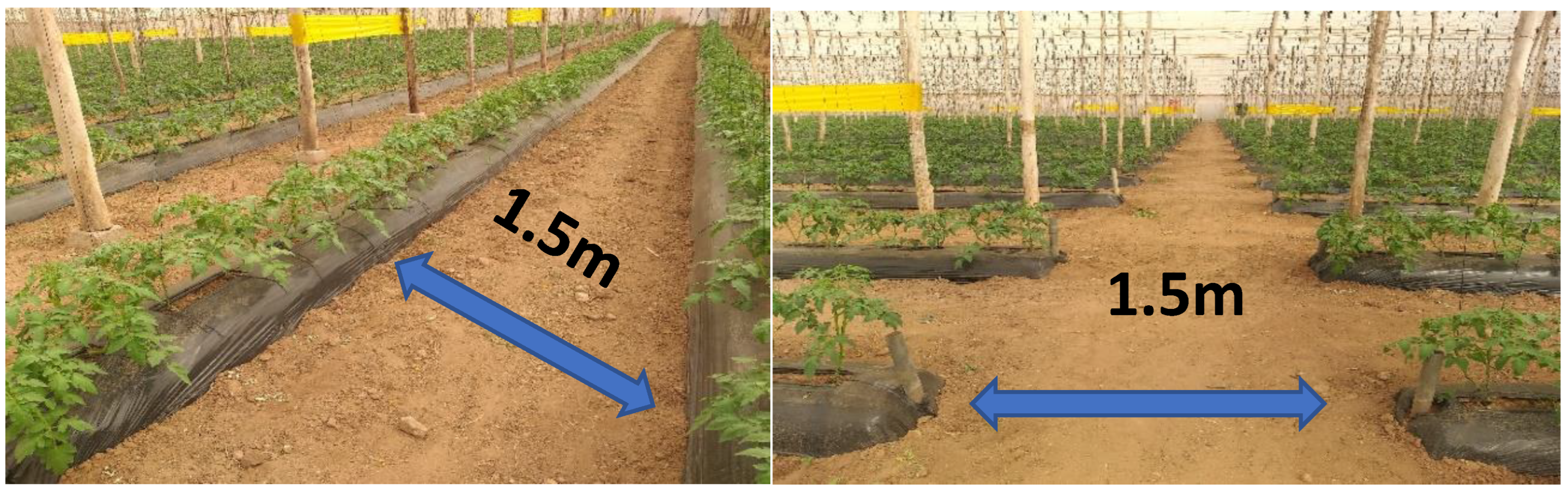 Sustainability 14 15539 g003