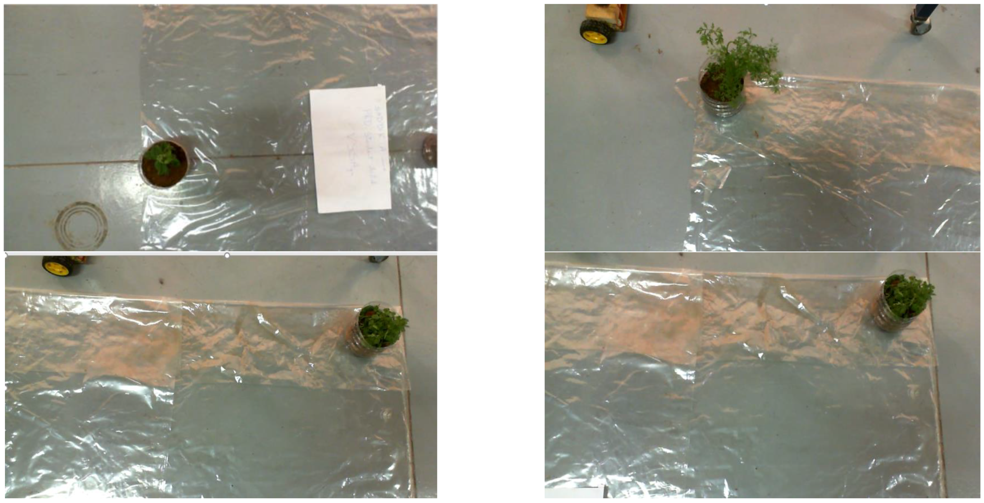 Sustainability 14 15539 g014