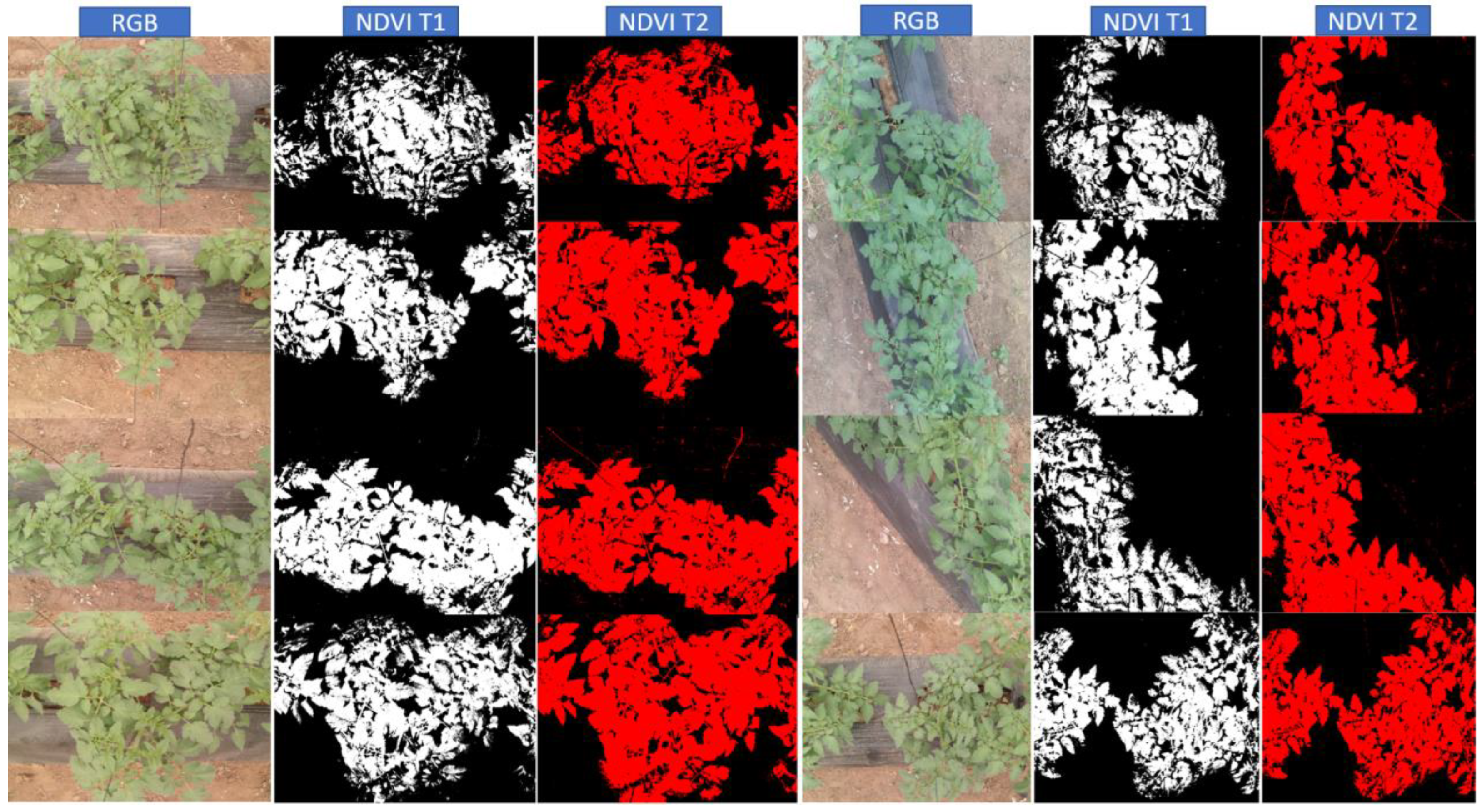 Sustainability 14 15539 g020