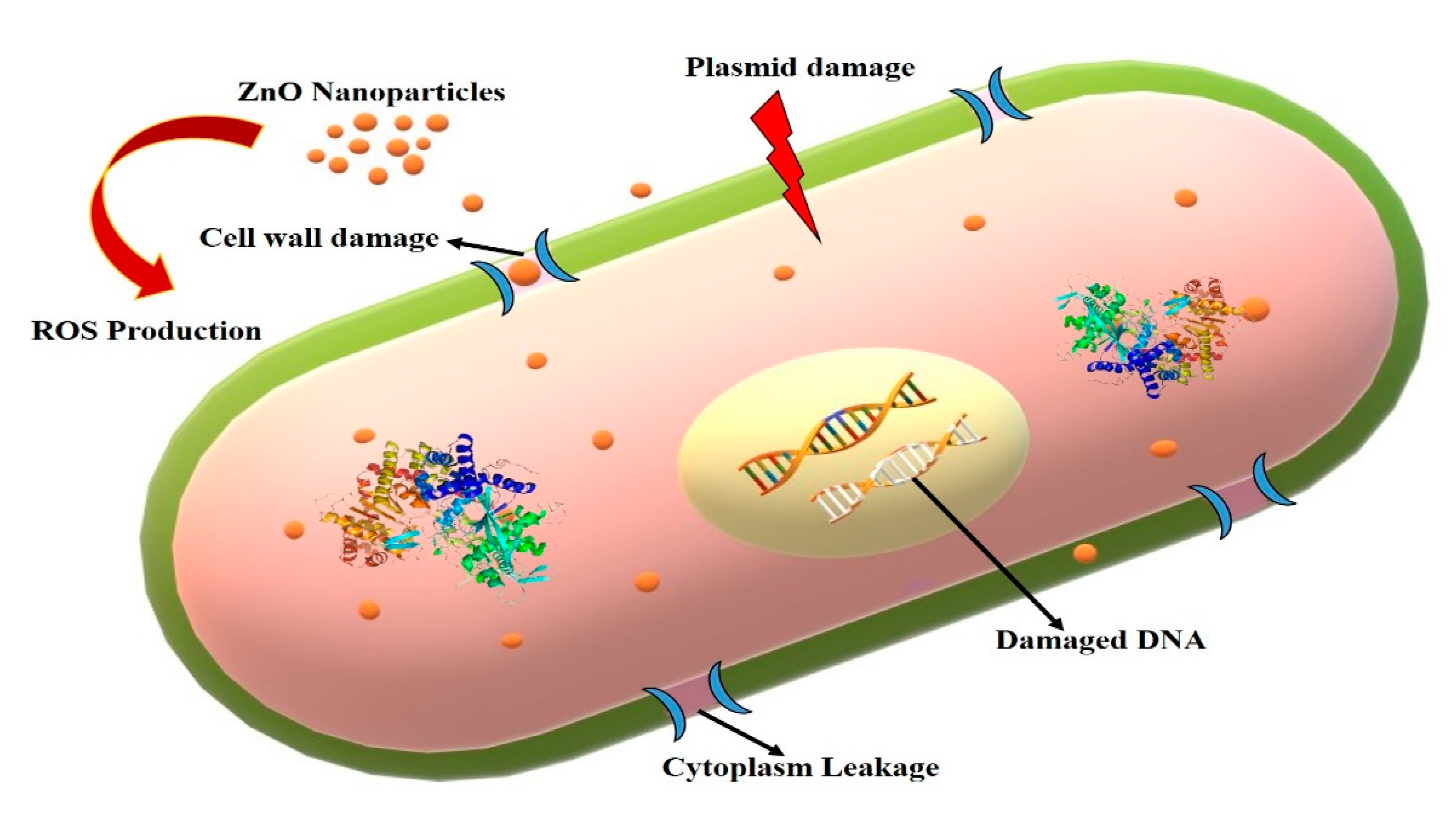 Sustainability 14 15572 g007 Sustainability 14 15572 g007