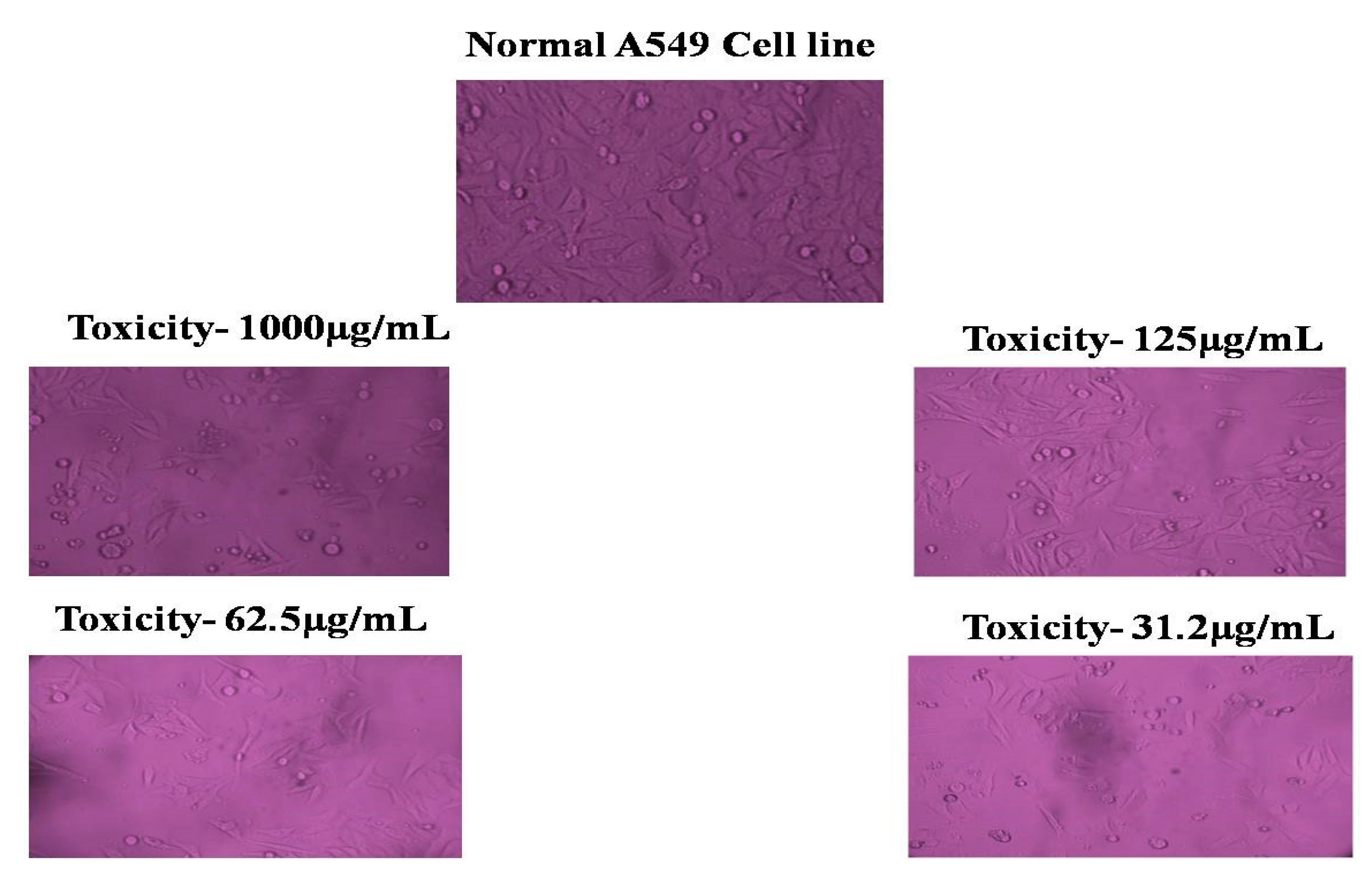 Sustainability 14 15572 g009 Sustainability 14 15572 g009