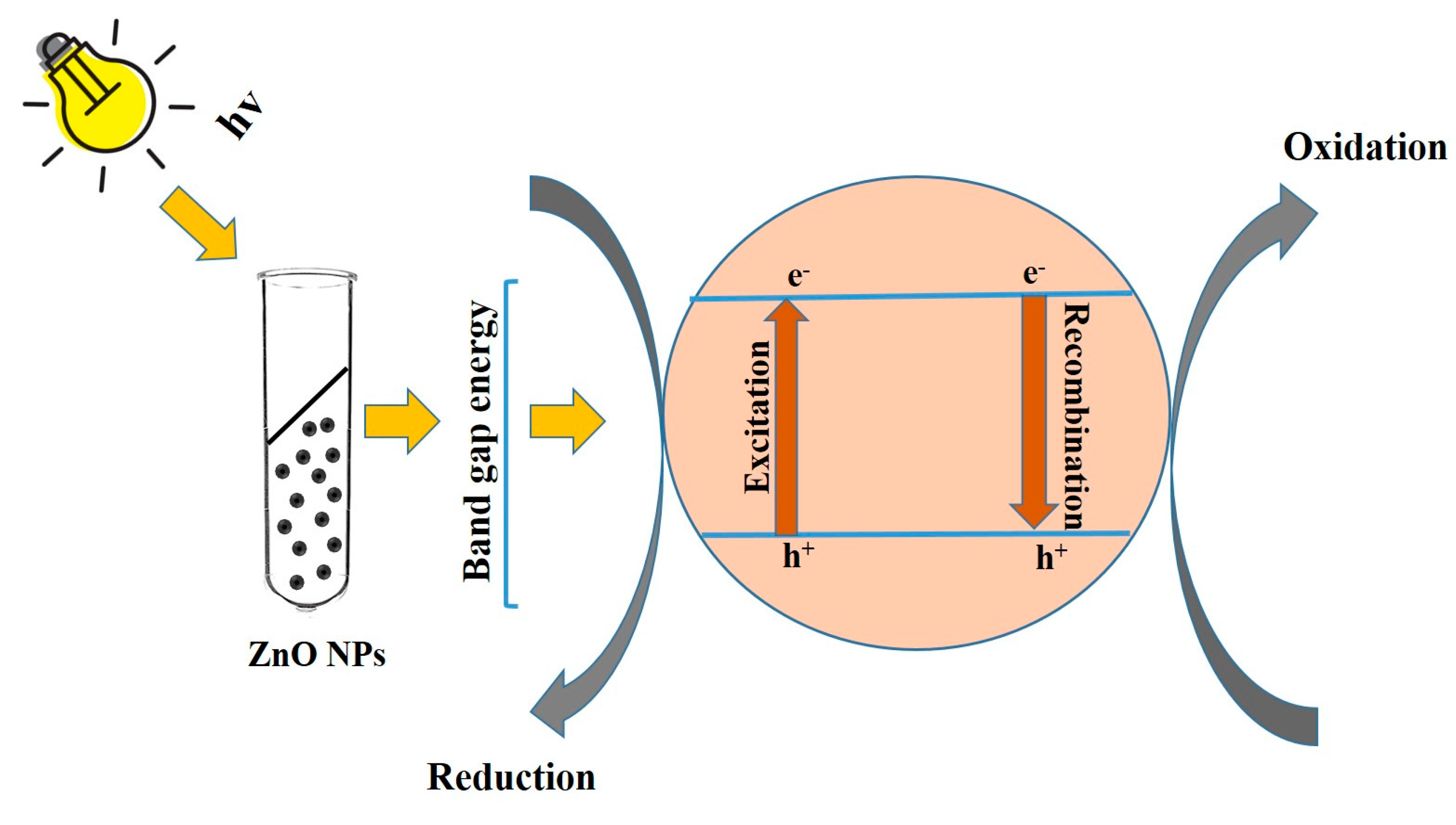 Sustainability 14 15572 g012 Sustainability 14 15572 g012