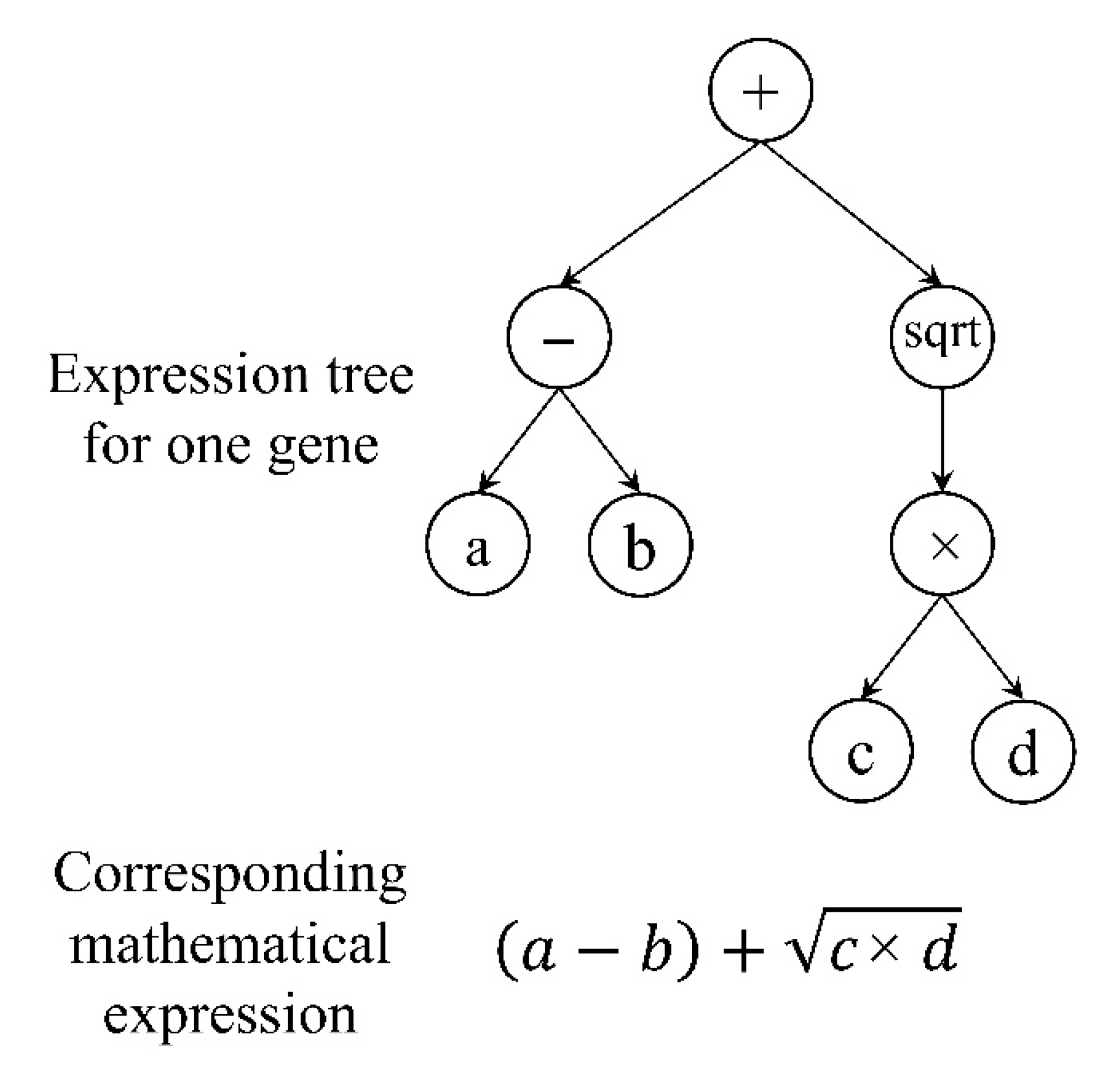 Sustainability 14 15609 g006 Sustainability 14 15609 g006