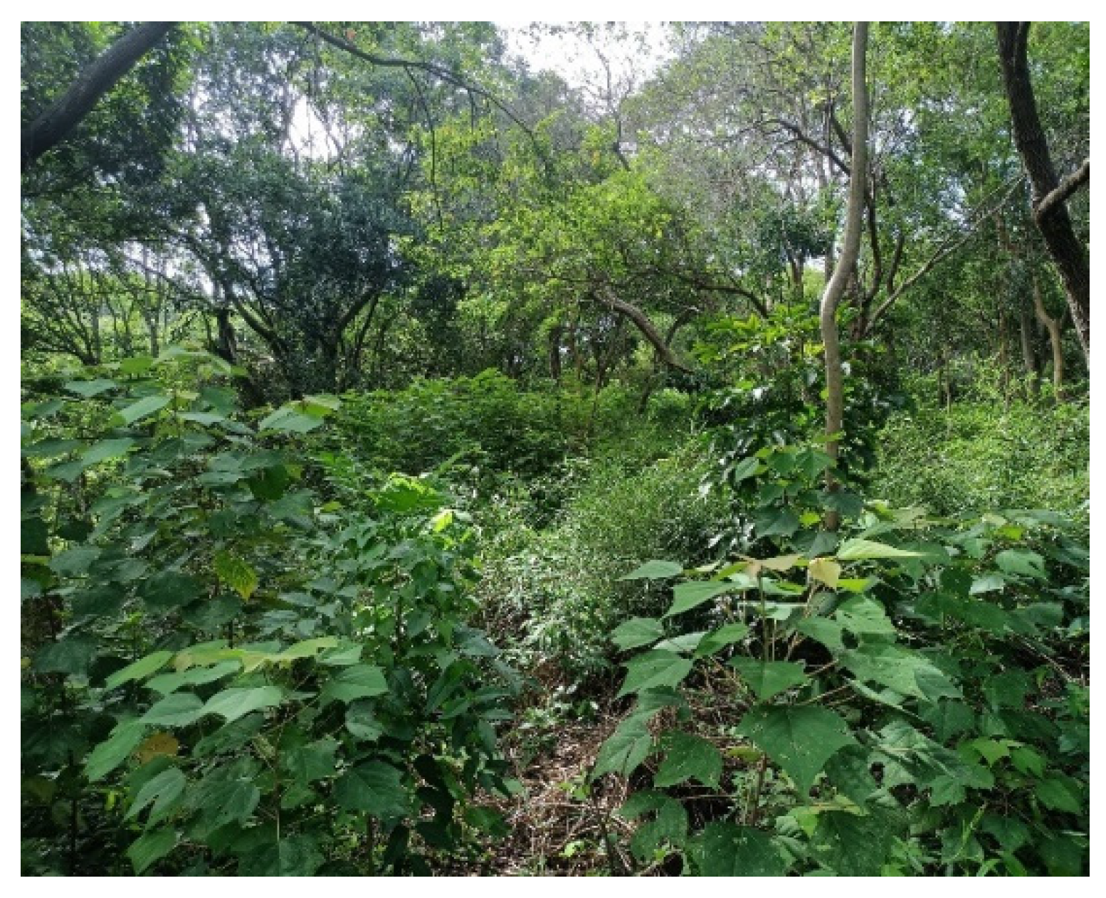 Sustainability 14 15610 g003