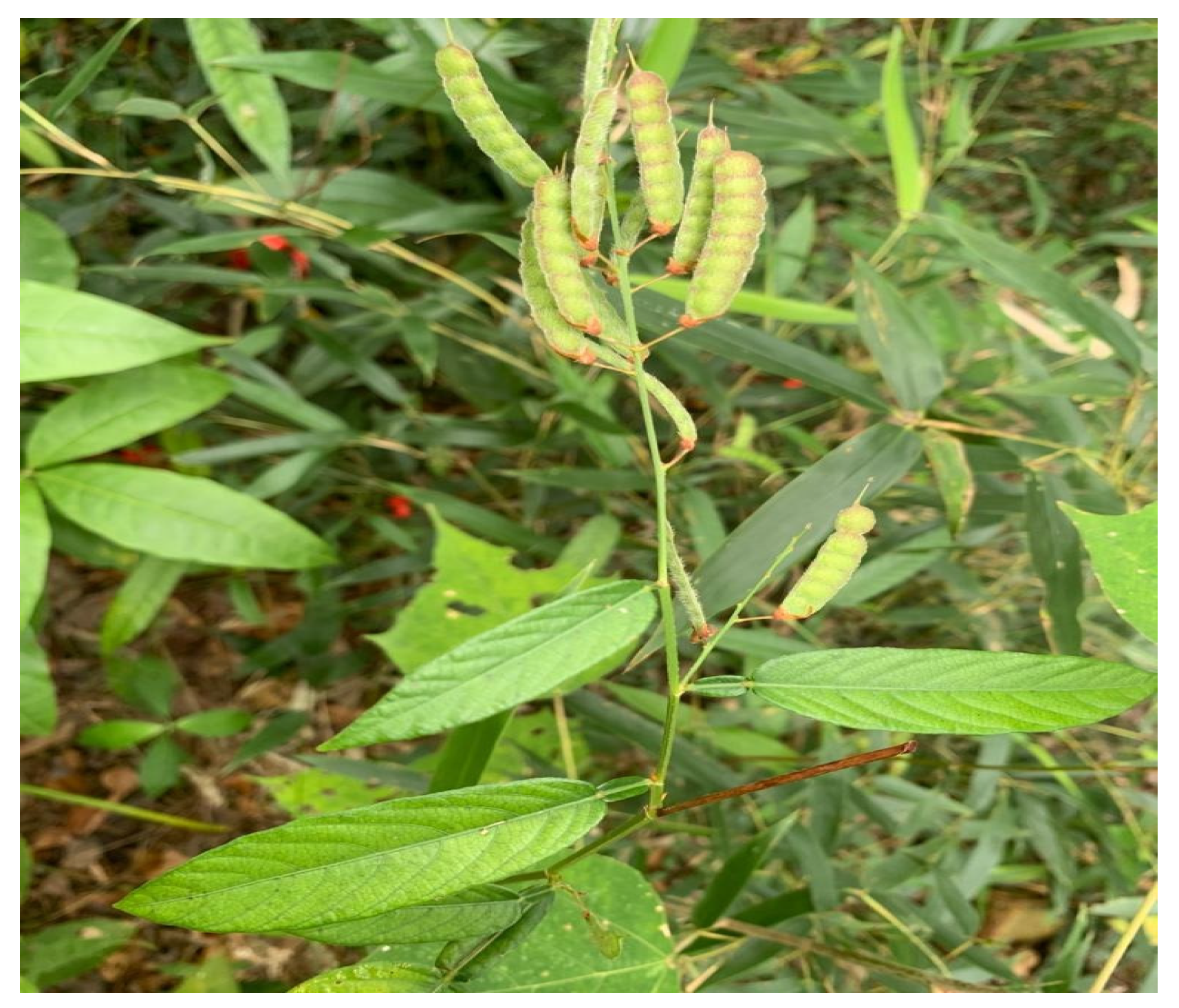 Sustainability 14 15610 g009