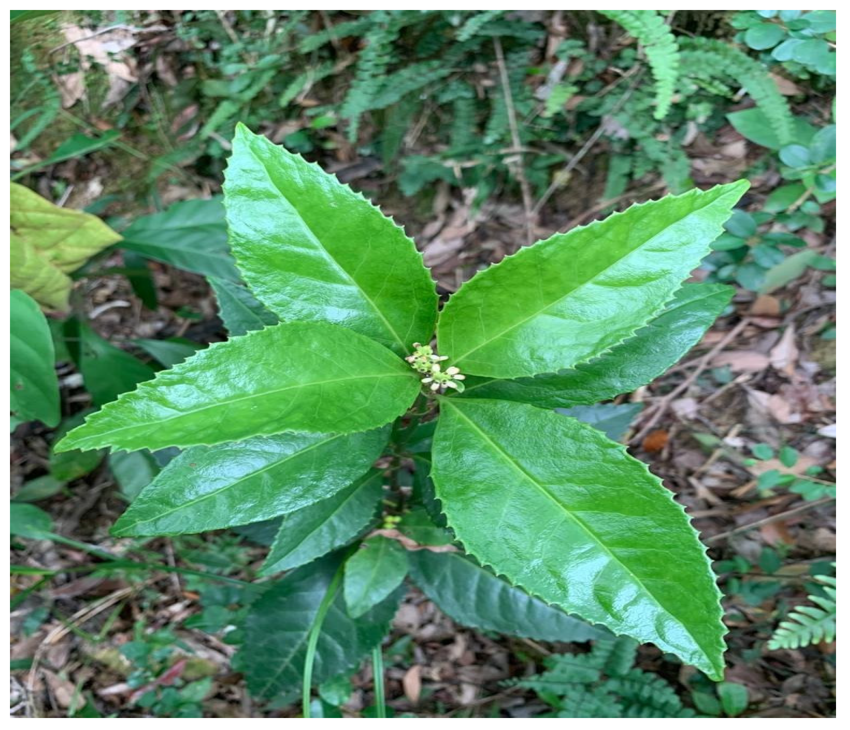 Sustainability 14 15610 g012