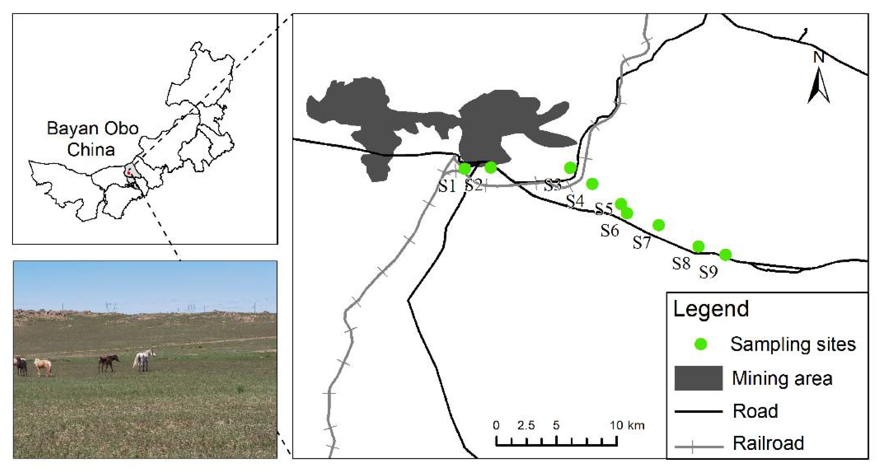 Sustainability 14 15629 g001 Sustainability 14 15629 g001
