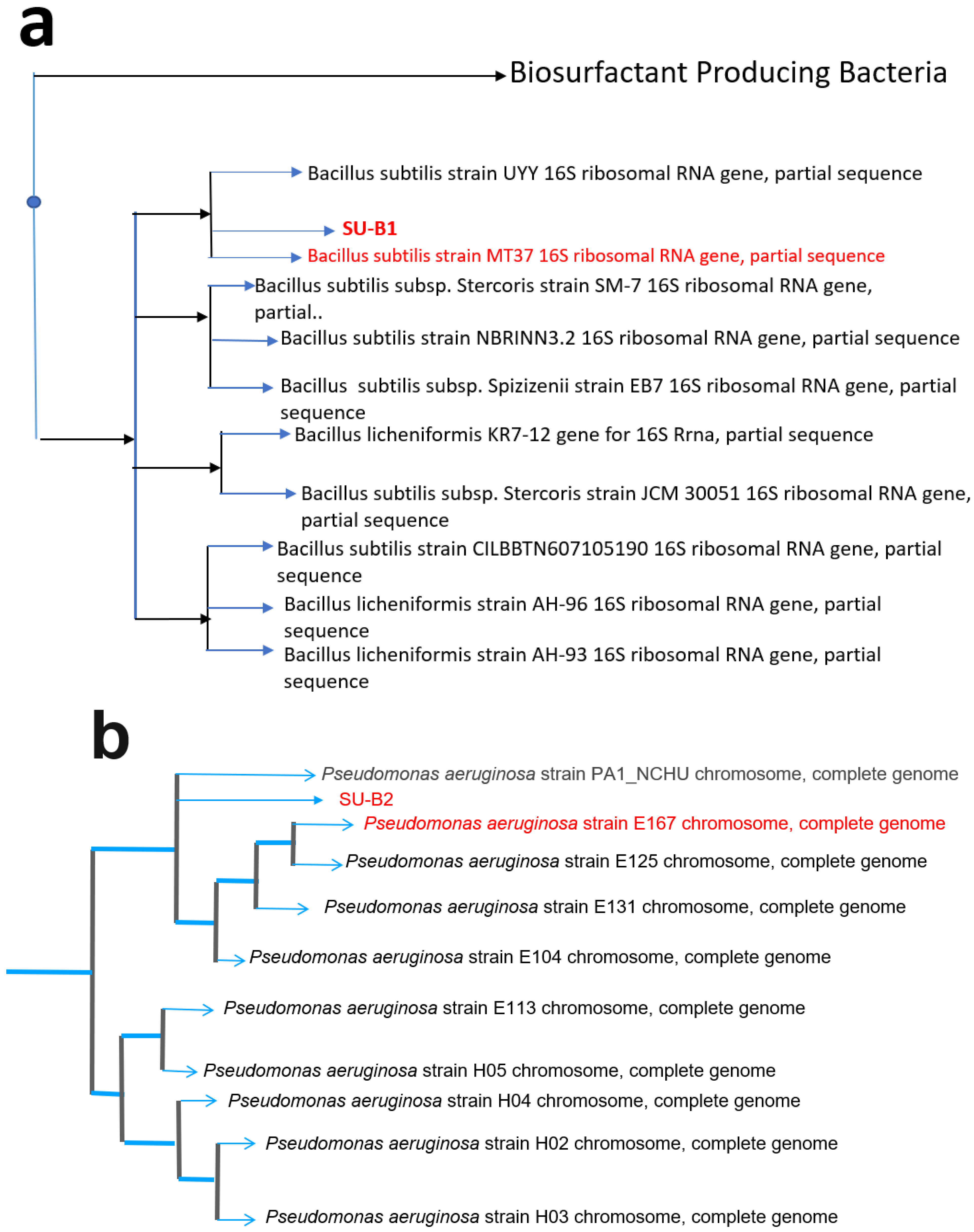 Sustainability 14 15638 g002 Sustainability 14 15638 g002