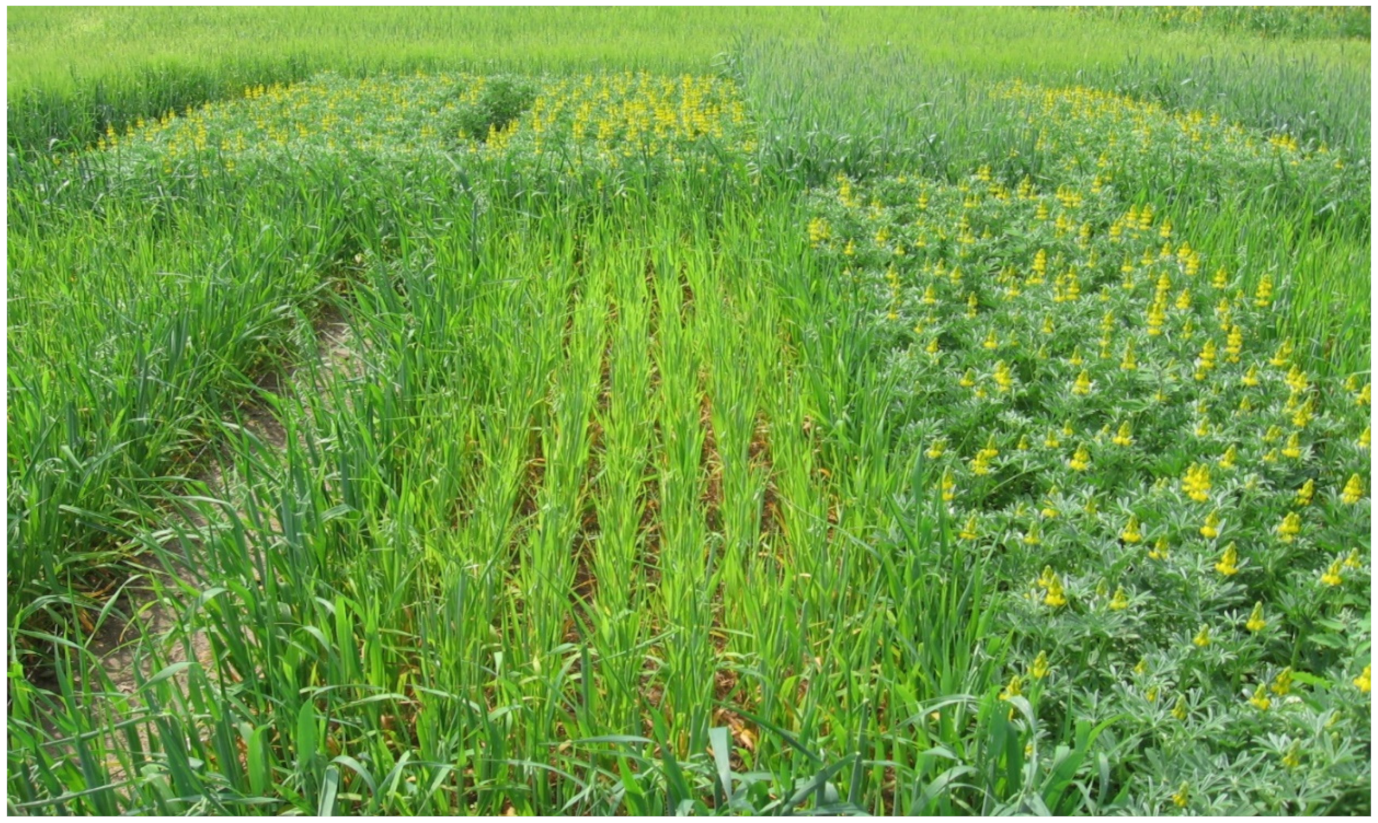 Sustainability 14 15651 g001