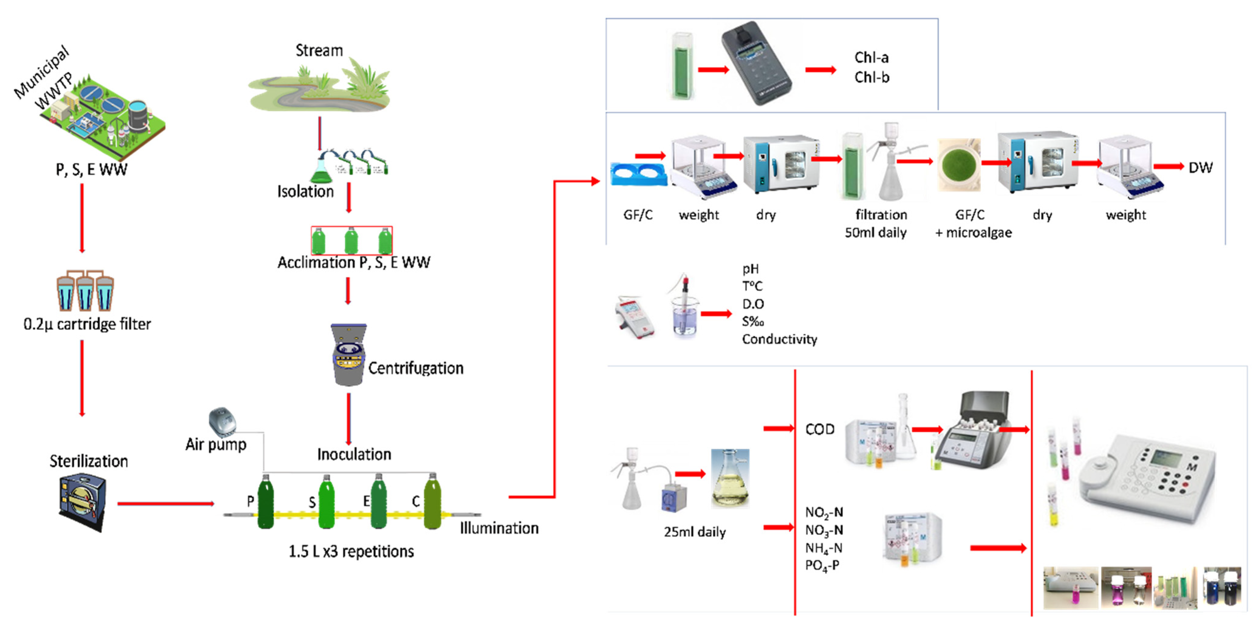 Sustainability 14 15705 g001