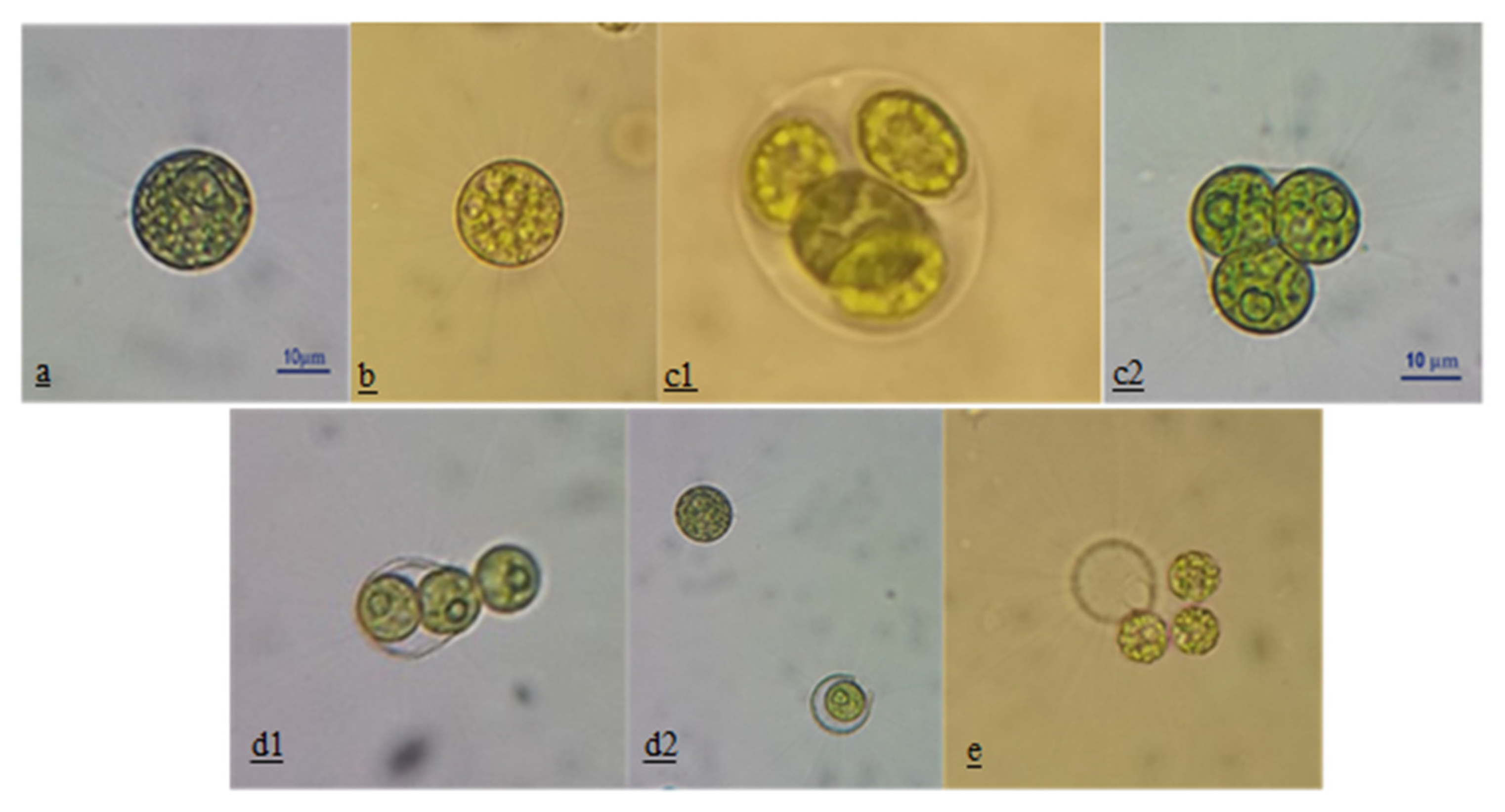 Sustainability 14 15705 g002