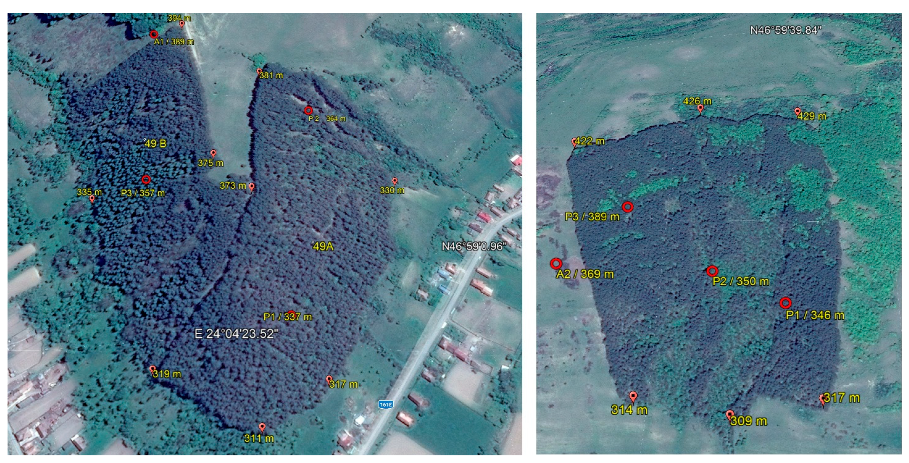Sustainability 14 15727 g001 Sustainability 14 15727 g001