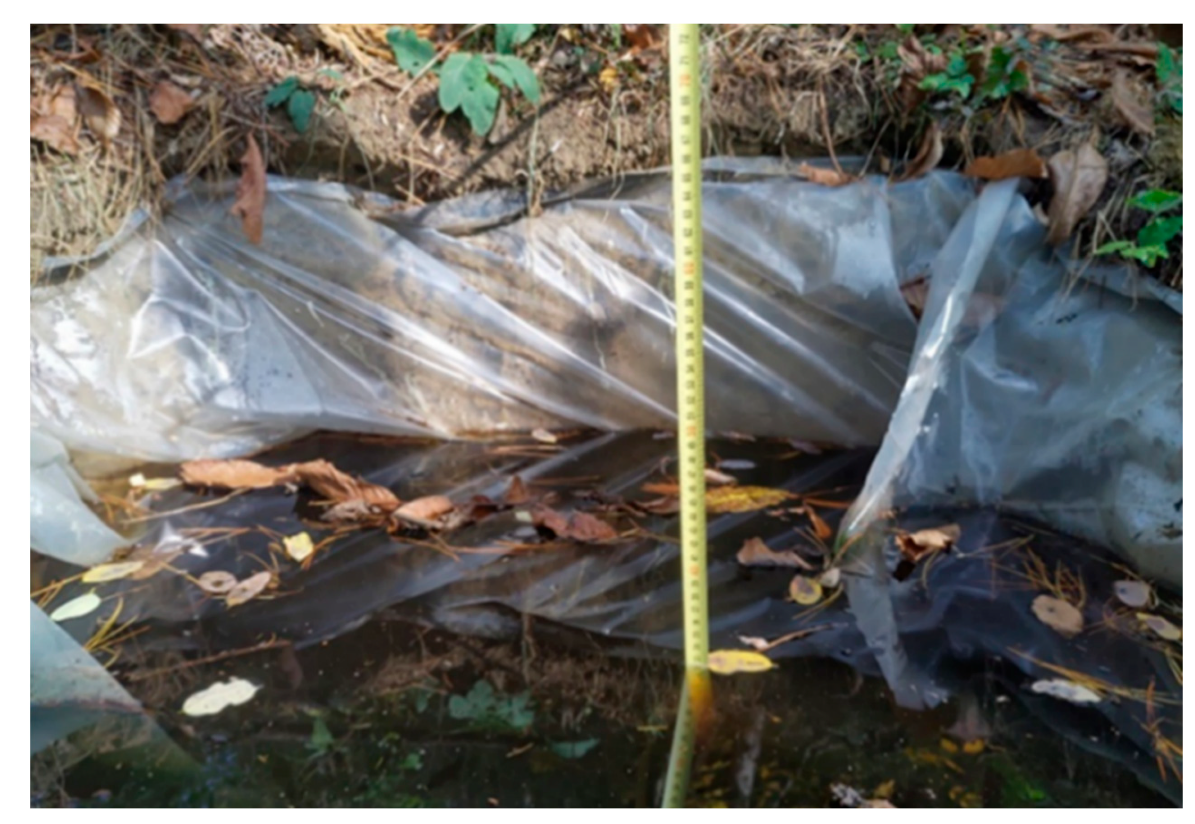 Sustainability 14 15727 g002 Sustainability 14 15727 g002