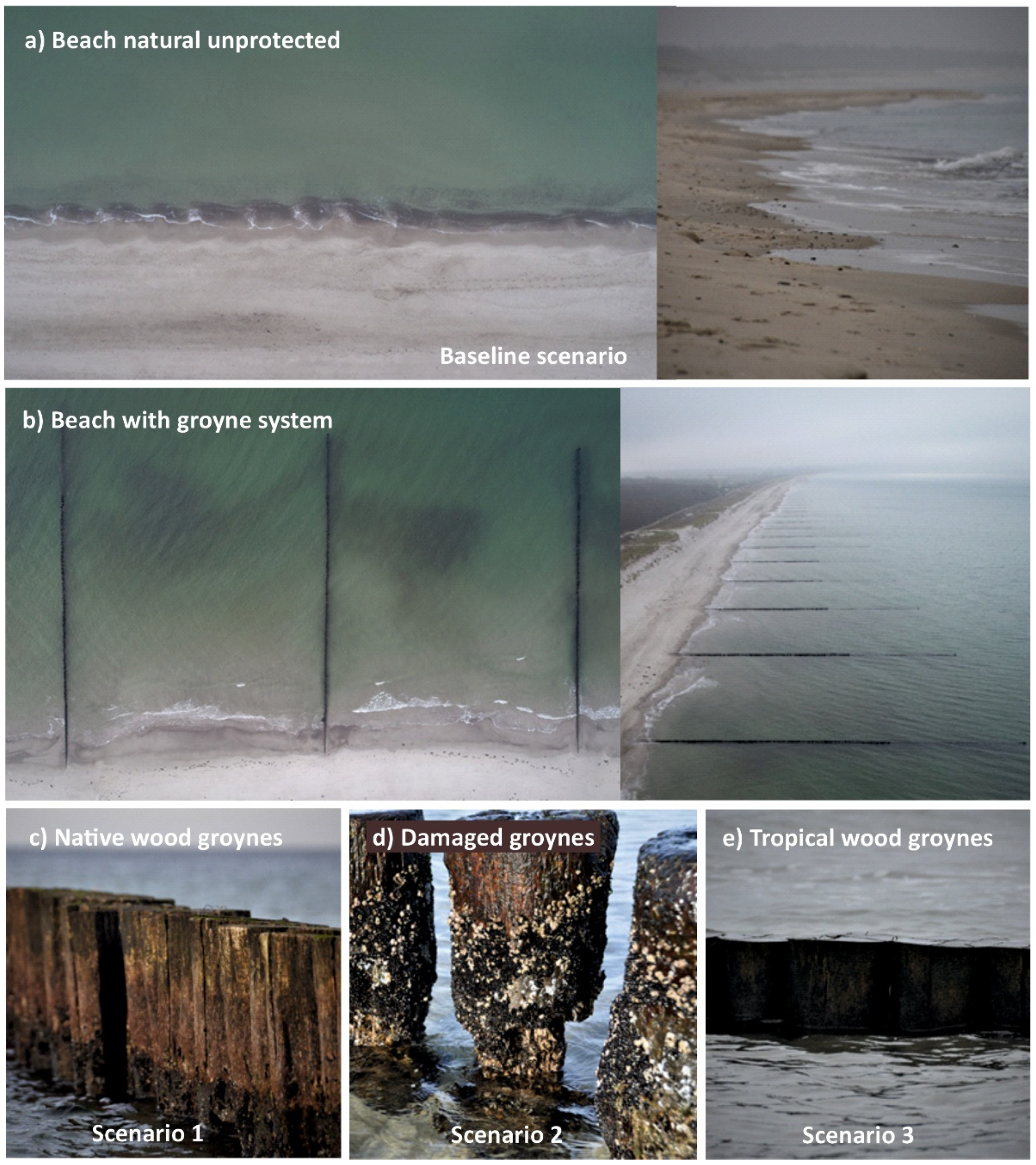 Sustainability 14 15737 g002