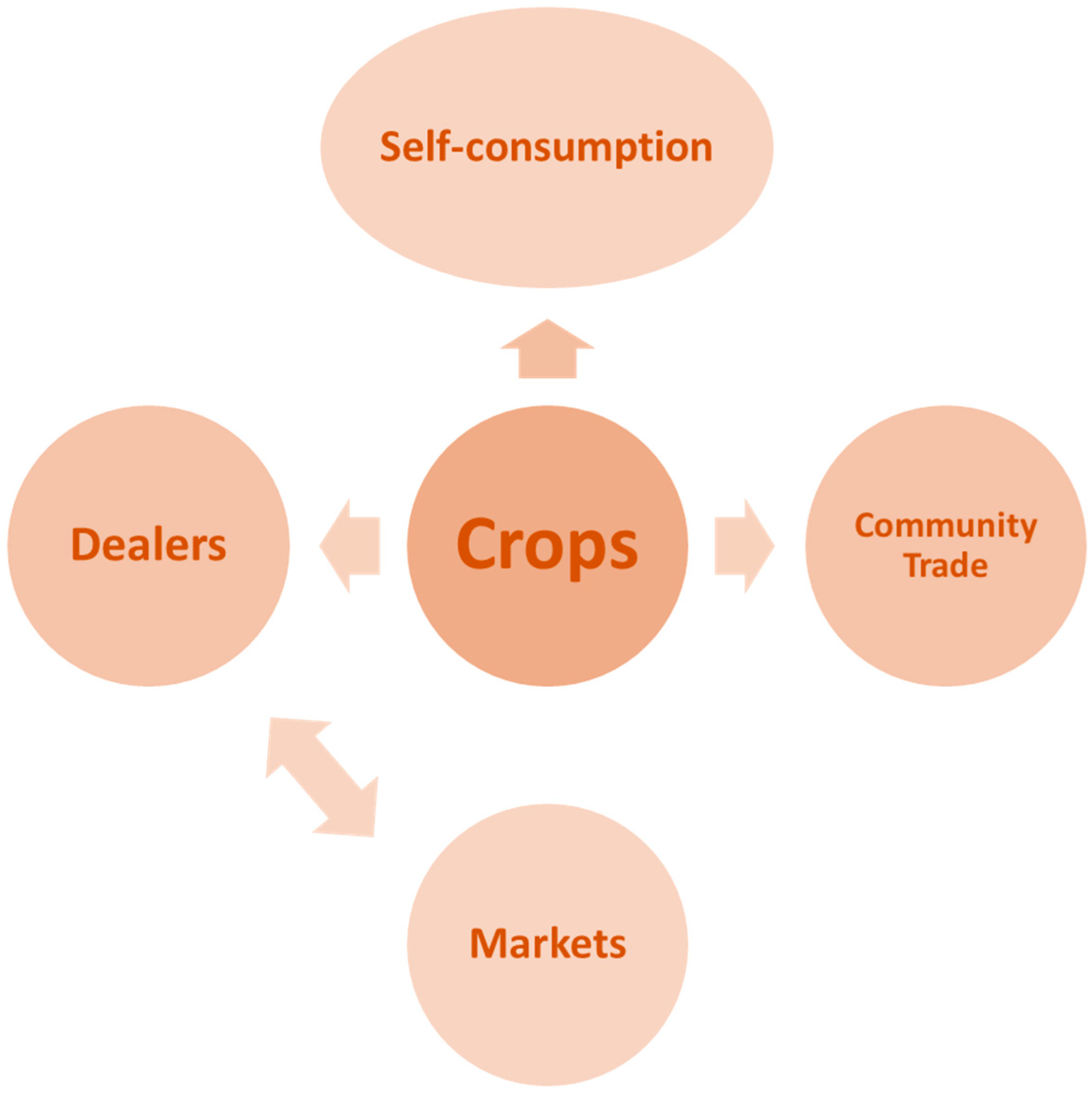 Sustainability 14 15743 g007