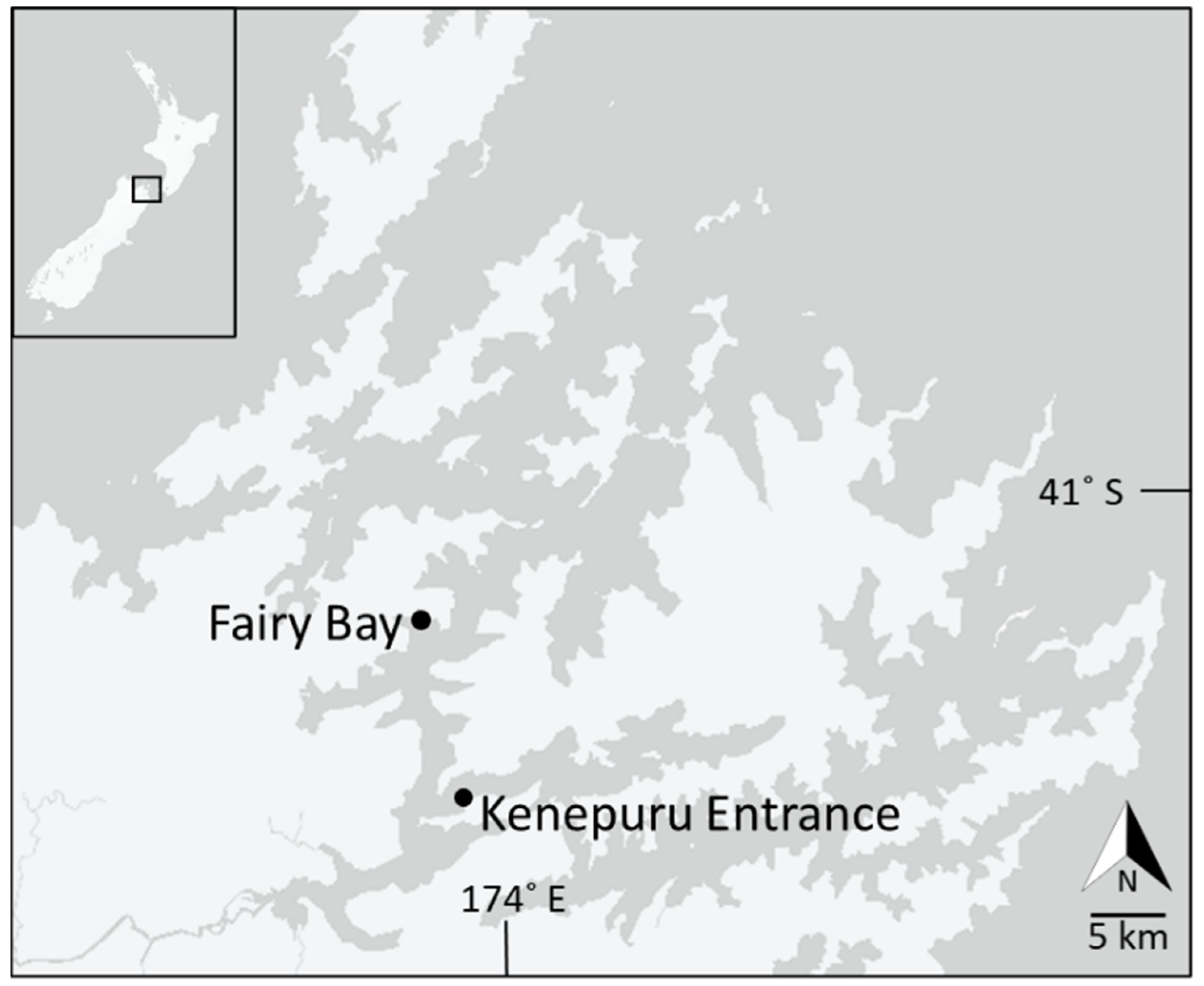 Sustainability 14 15746 g001 Sustainability 14 15746 g001