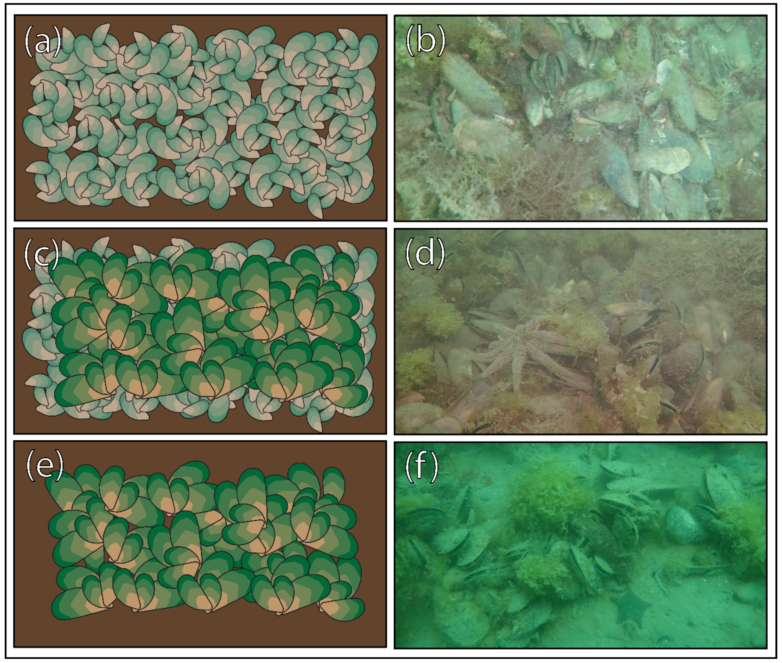 Sustainability 14 15746 g002 Sustainability 14 15746 g002