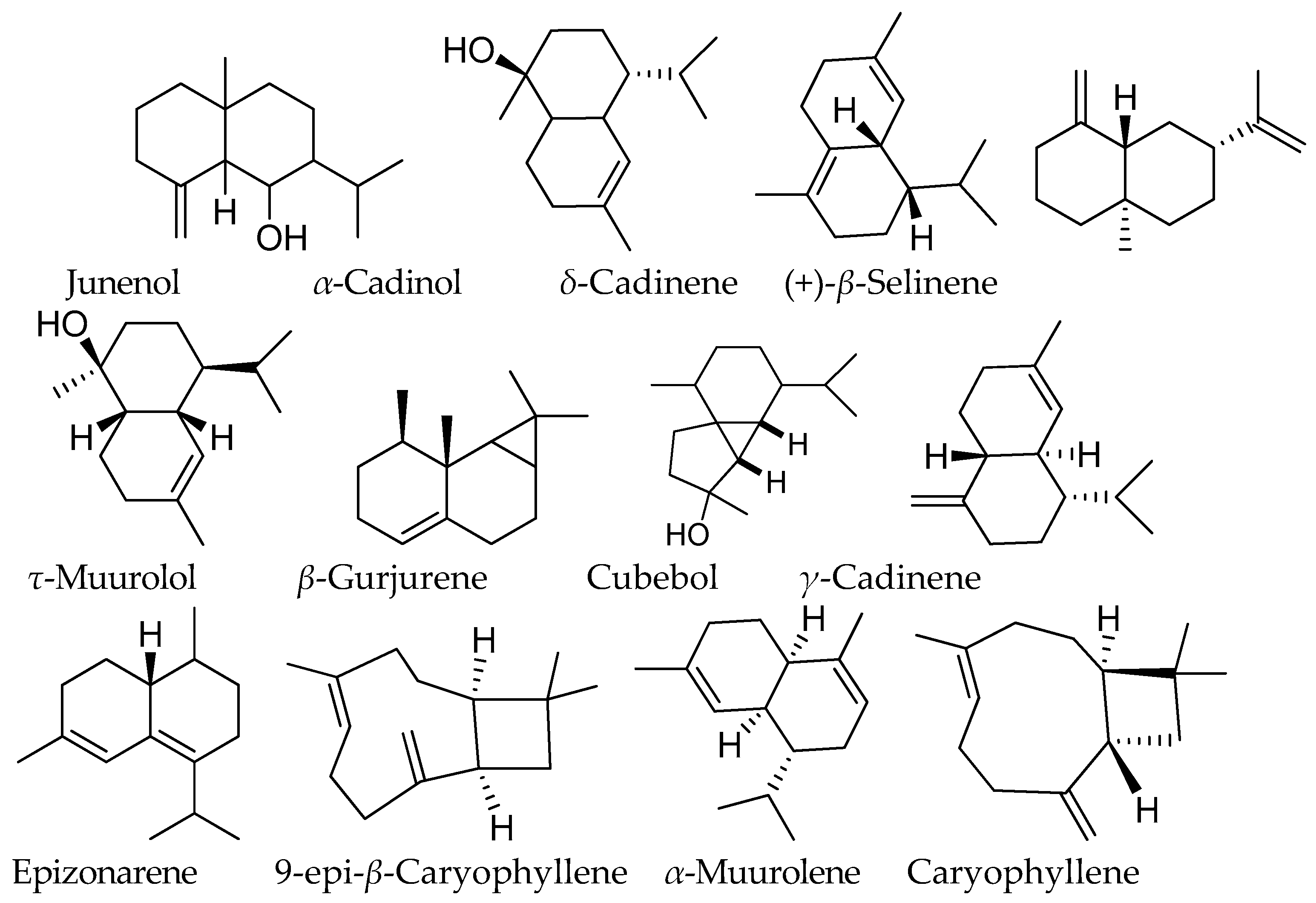 Sustainability 14 15785 g002 Sustainability 14 15785 g002