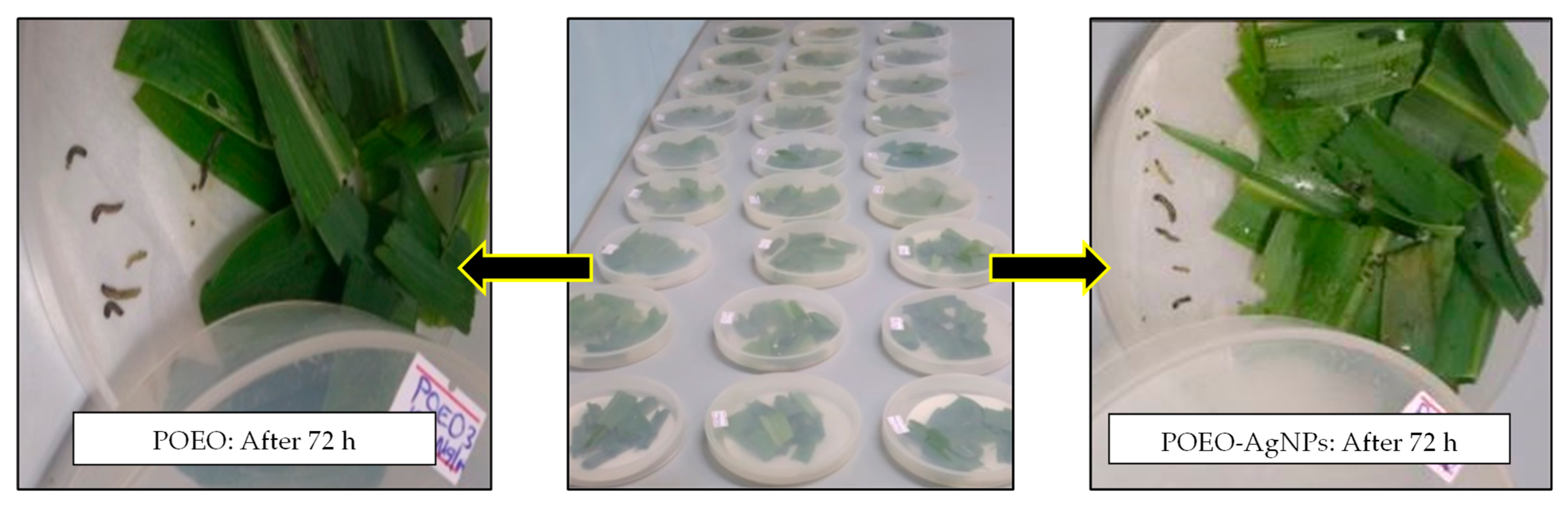 Sustainability 14 15785 g009 Sustainability 14 15785 g009