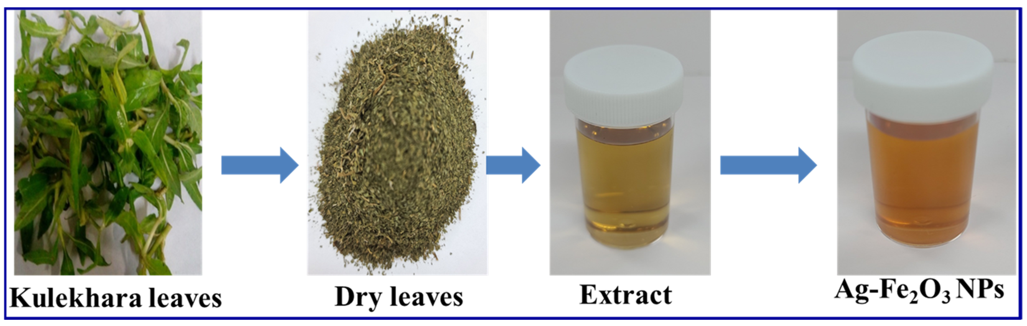 Sustainability 14 15800 g001 Sustainability 14 15800 g001