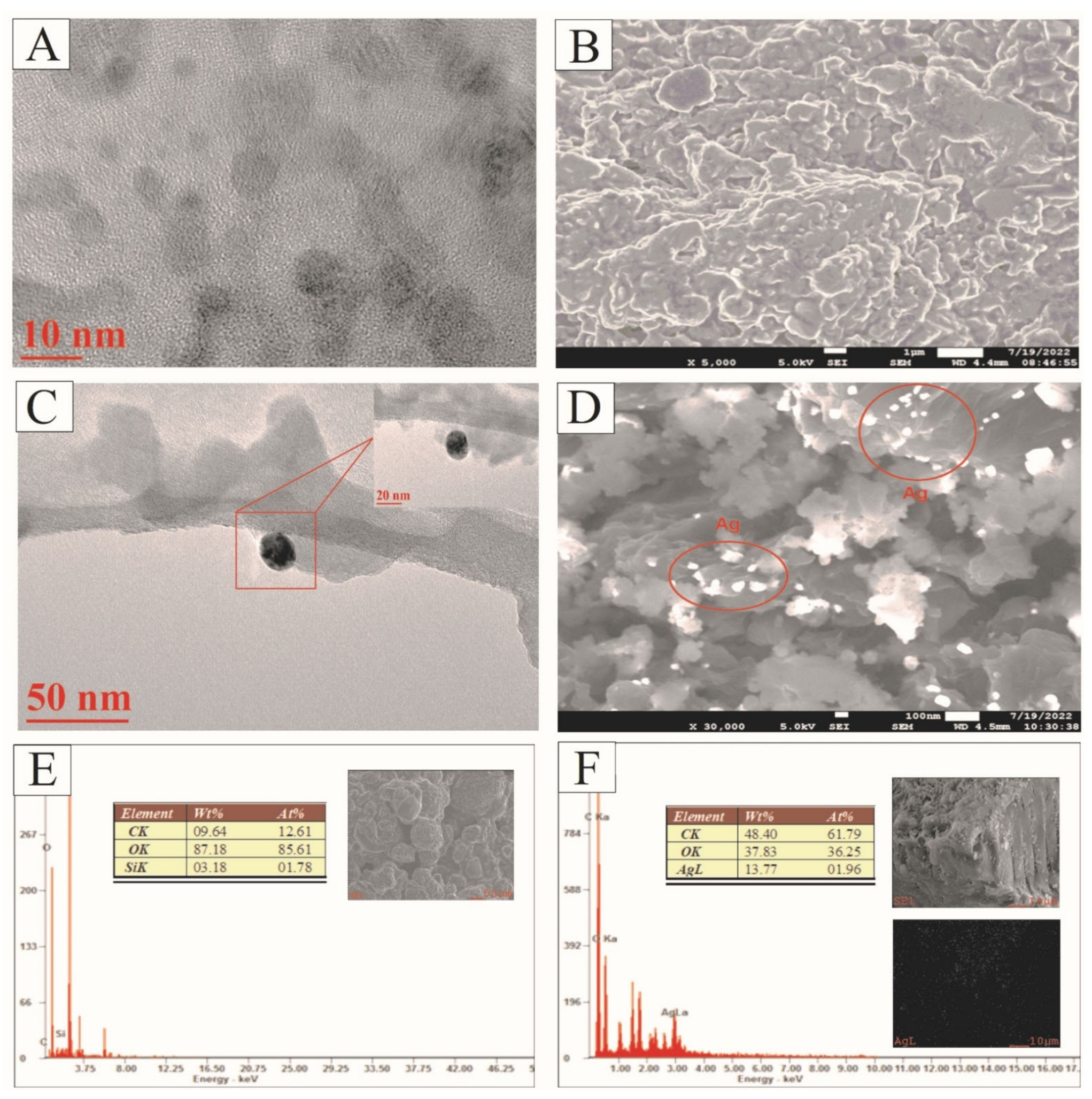 Sustainability 14 15843 g002 Sustainability 14 15843 g002