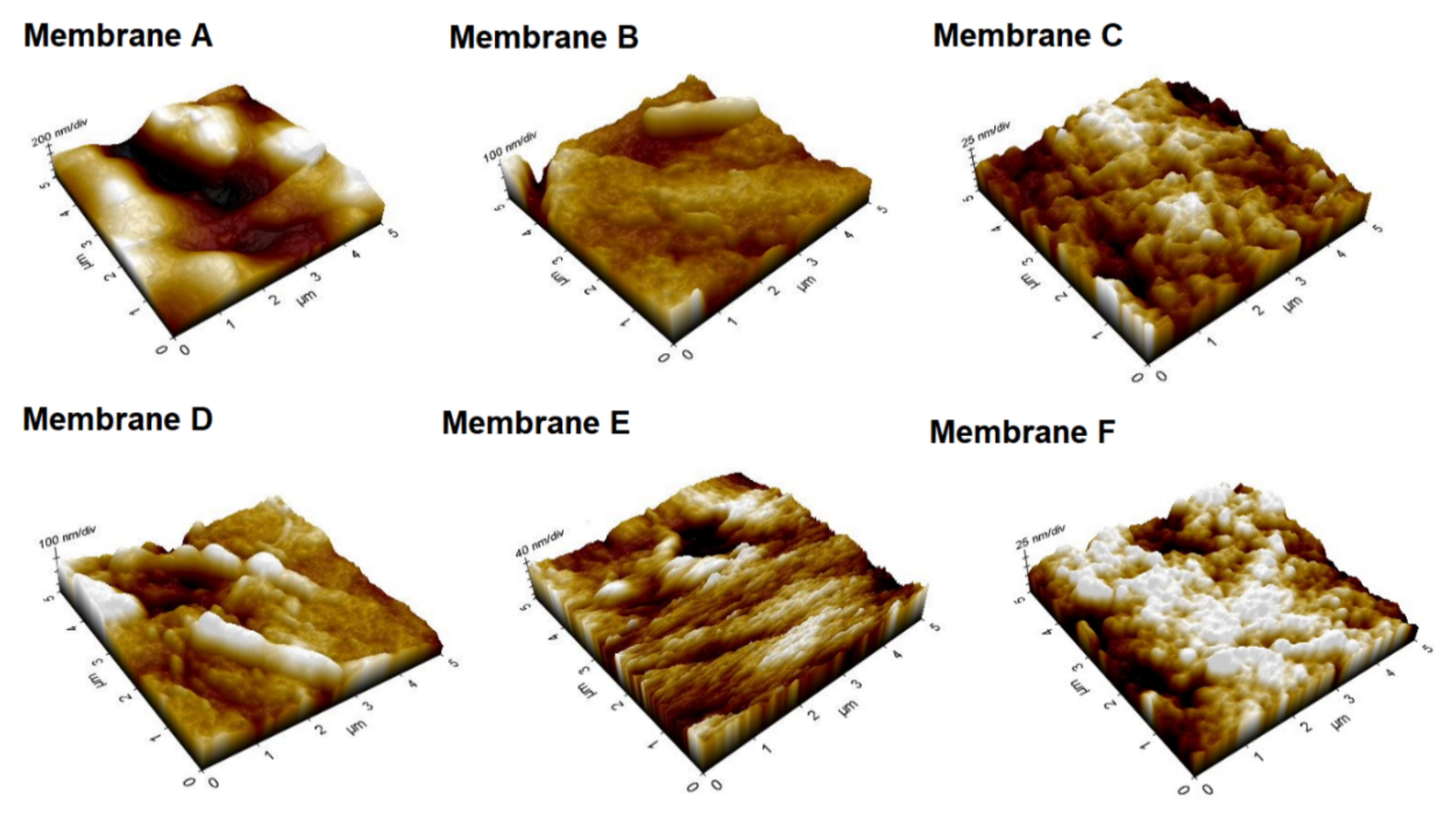Sustainability 14 15843 g008 Sustainability 14 15843 g008