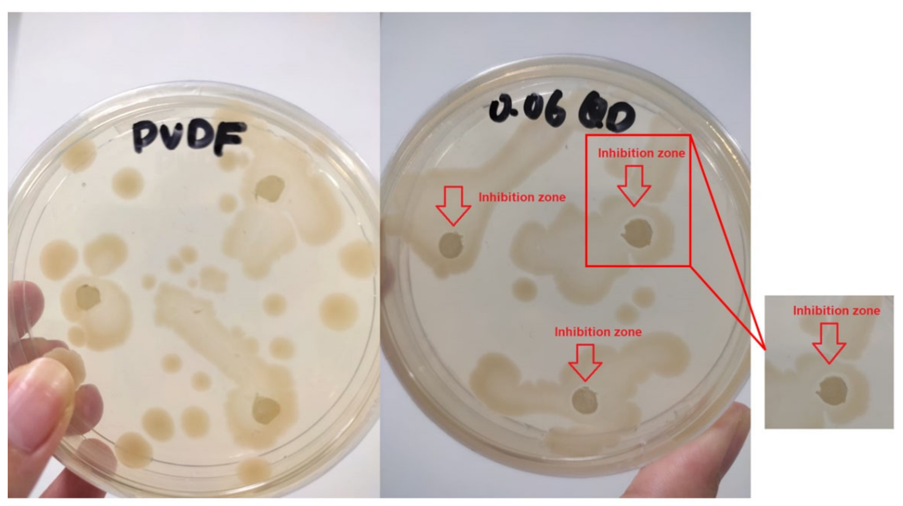 Sustainability 14 15843 g011 Sustainability 14 15843 g011