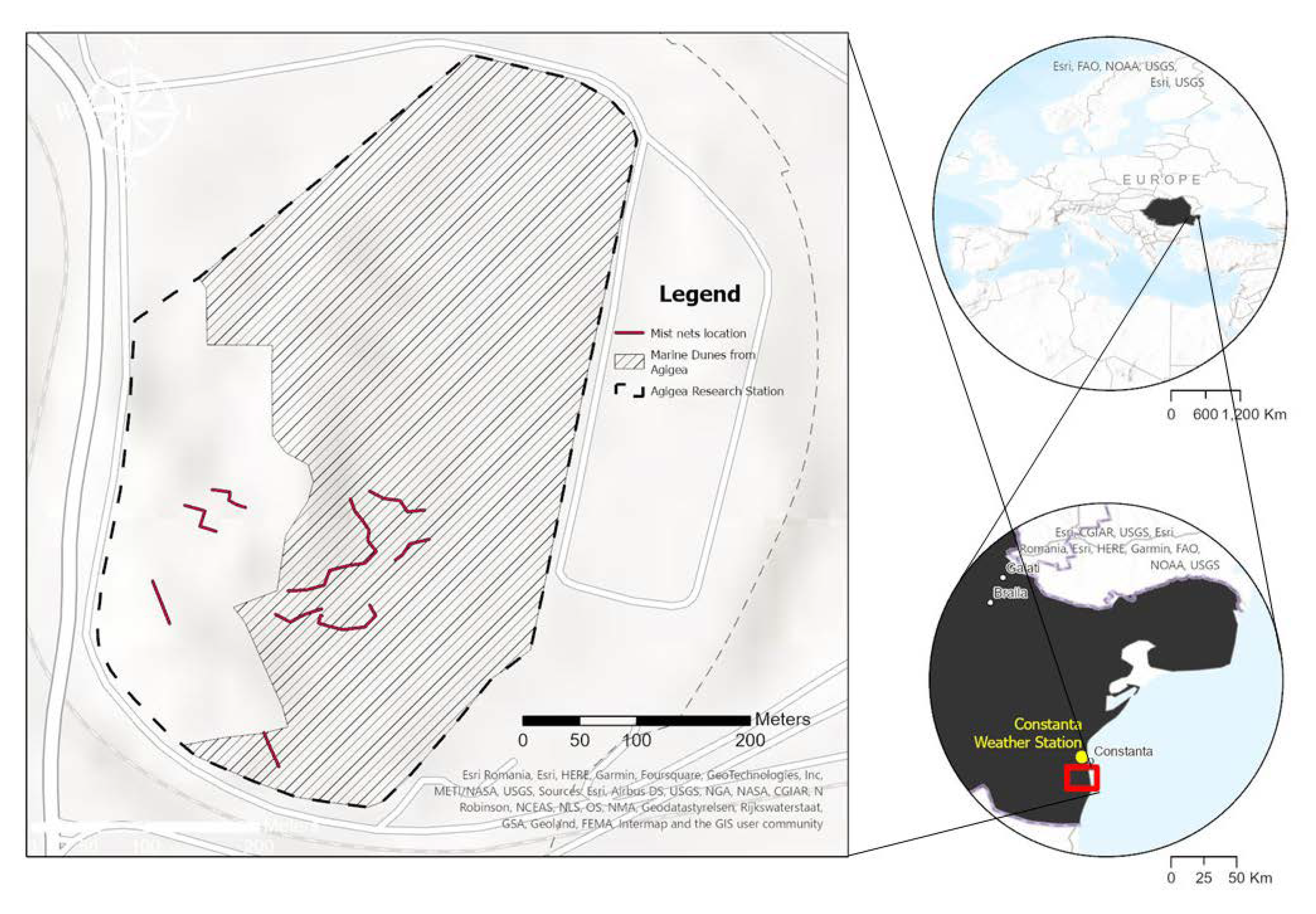 Sustainability 14 15861 g001
