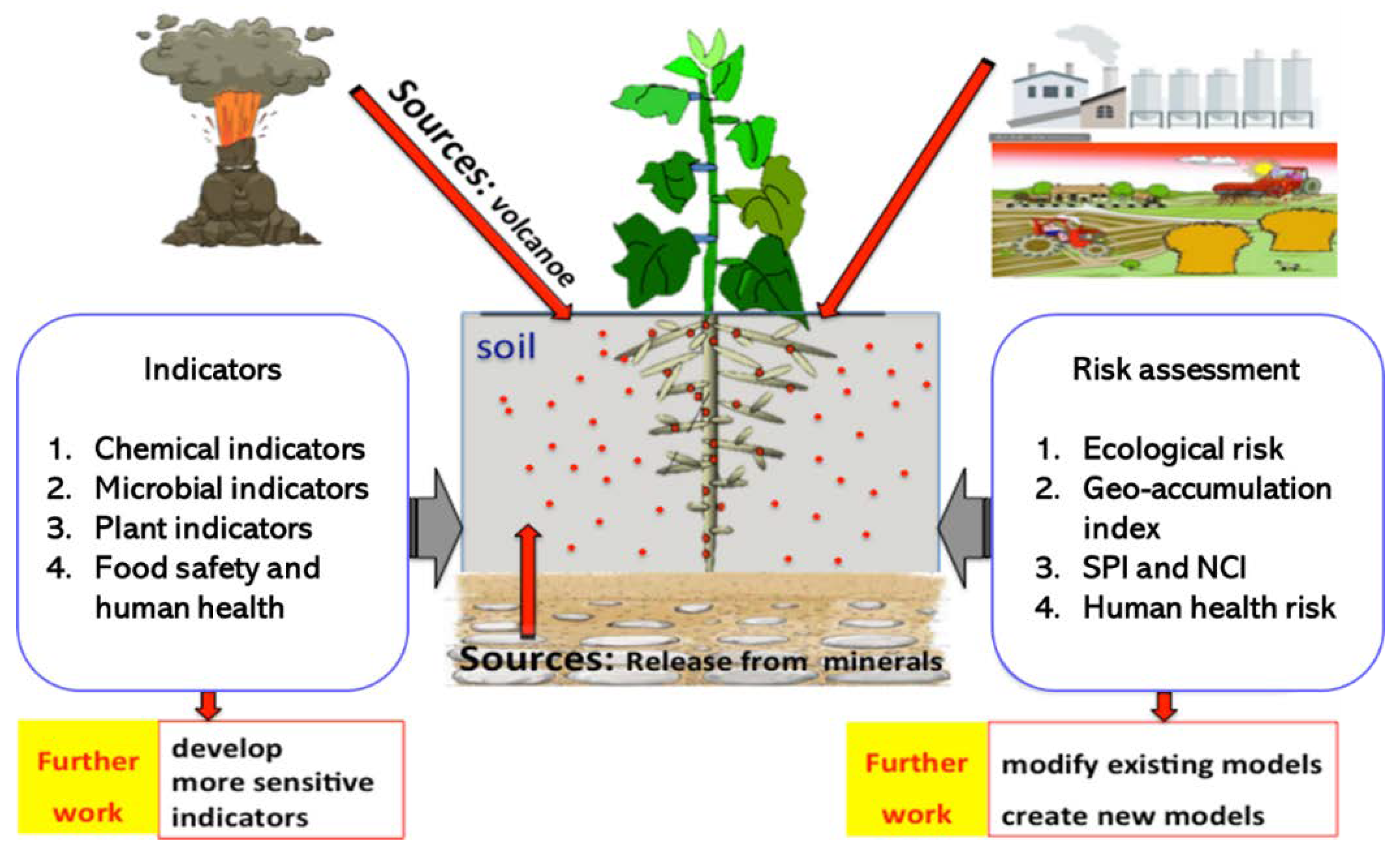 Health risk assessment of potentially toxic elements in the dry