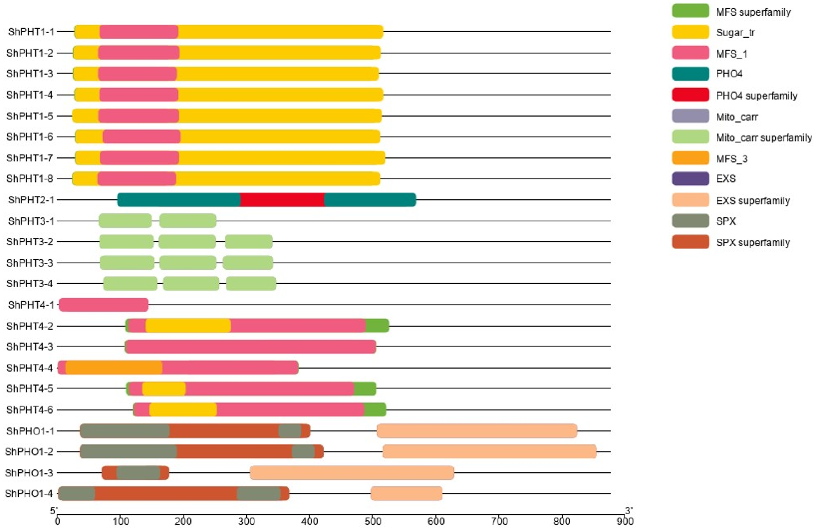 Sustainability 14 15893 g001 Sustainability 14 15893 g001