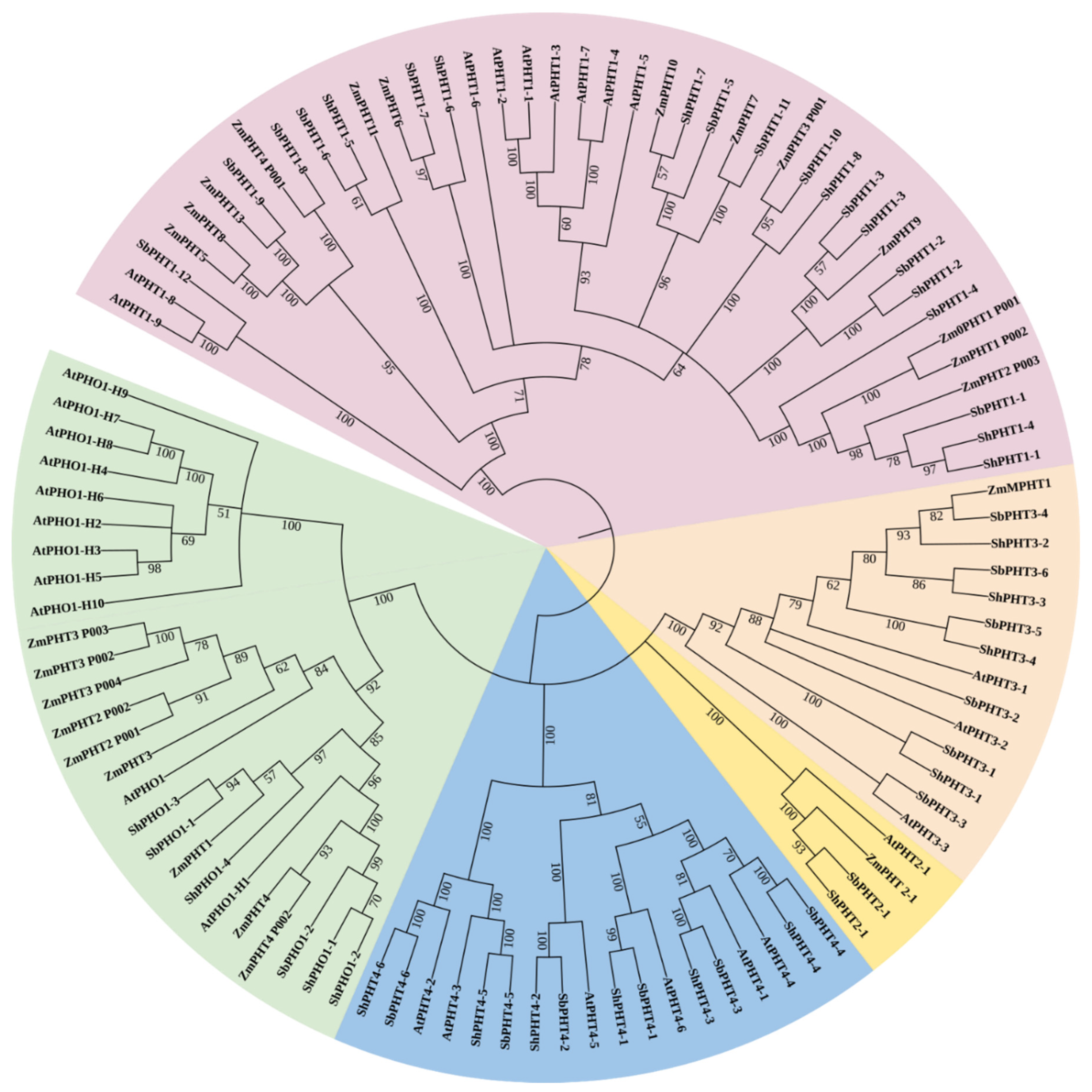 Sustainability 14 15893 g002 Sustainability 14 15893 g002
