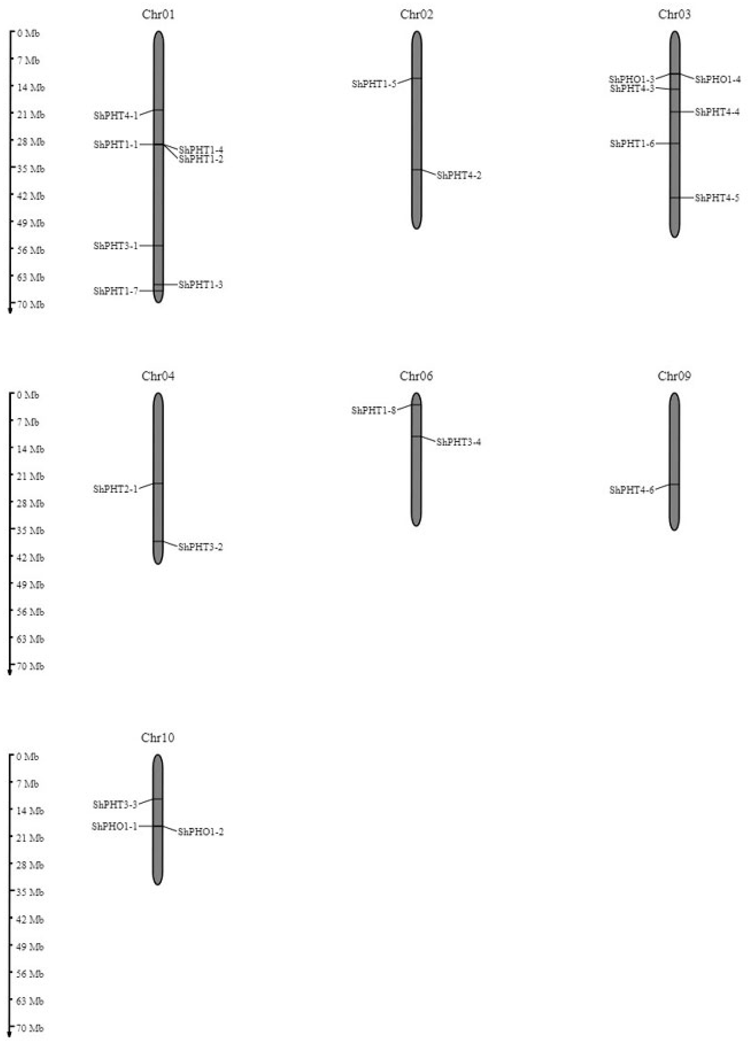 Sustainability 14 15893 g003 Sustainability 14 15893 g003