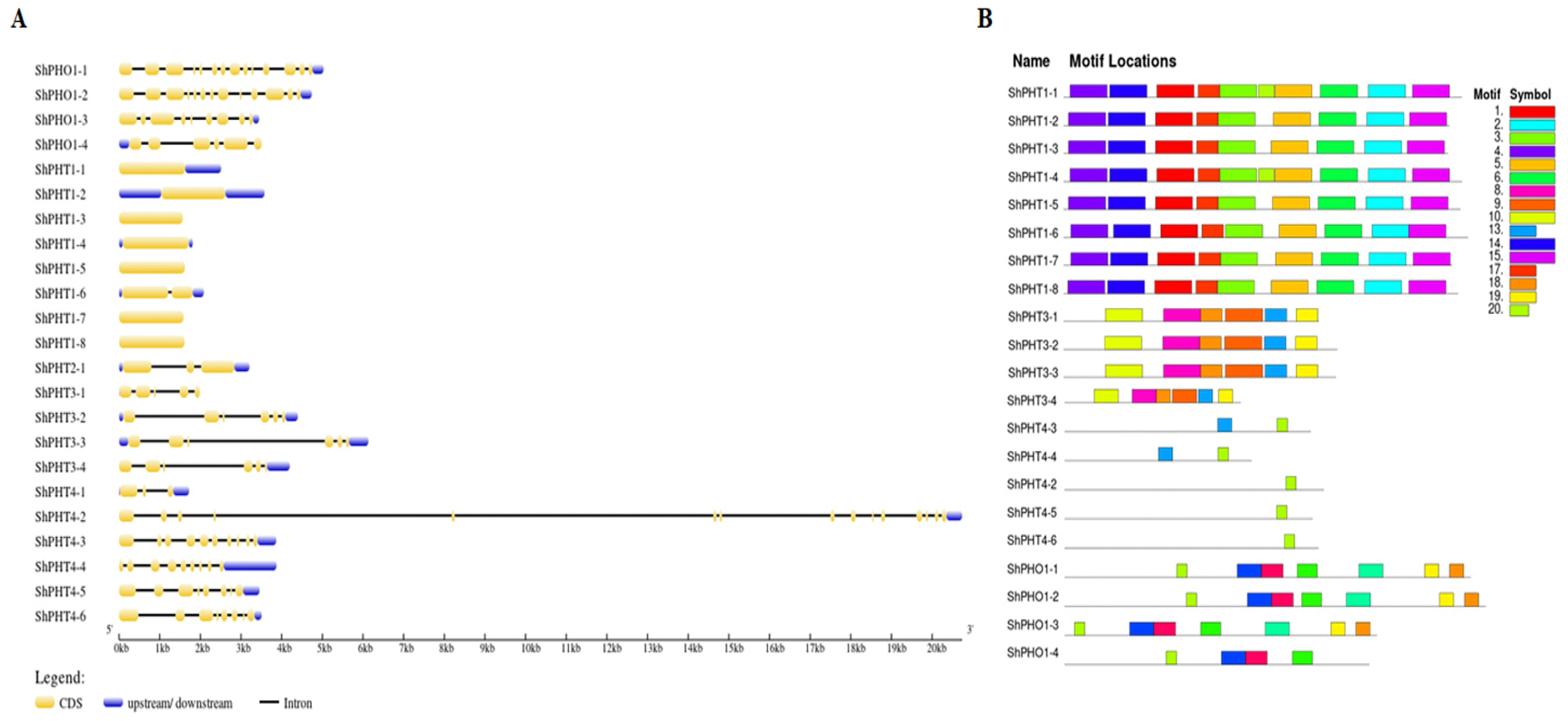 Sustainability 14 15893 g004 Sustainability 14 15893 g004