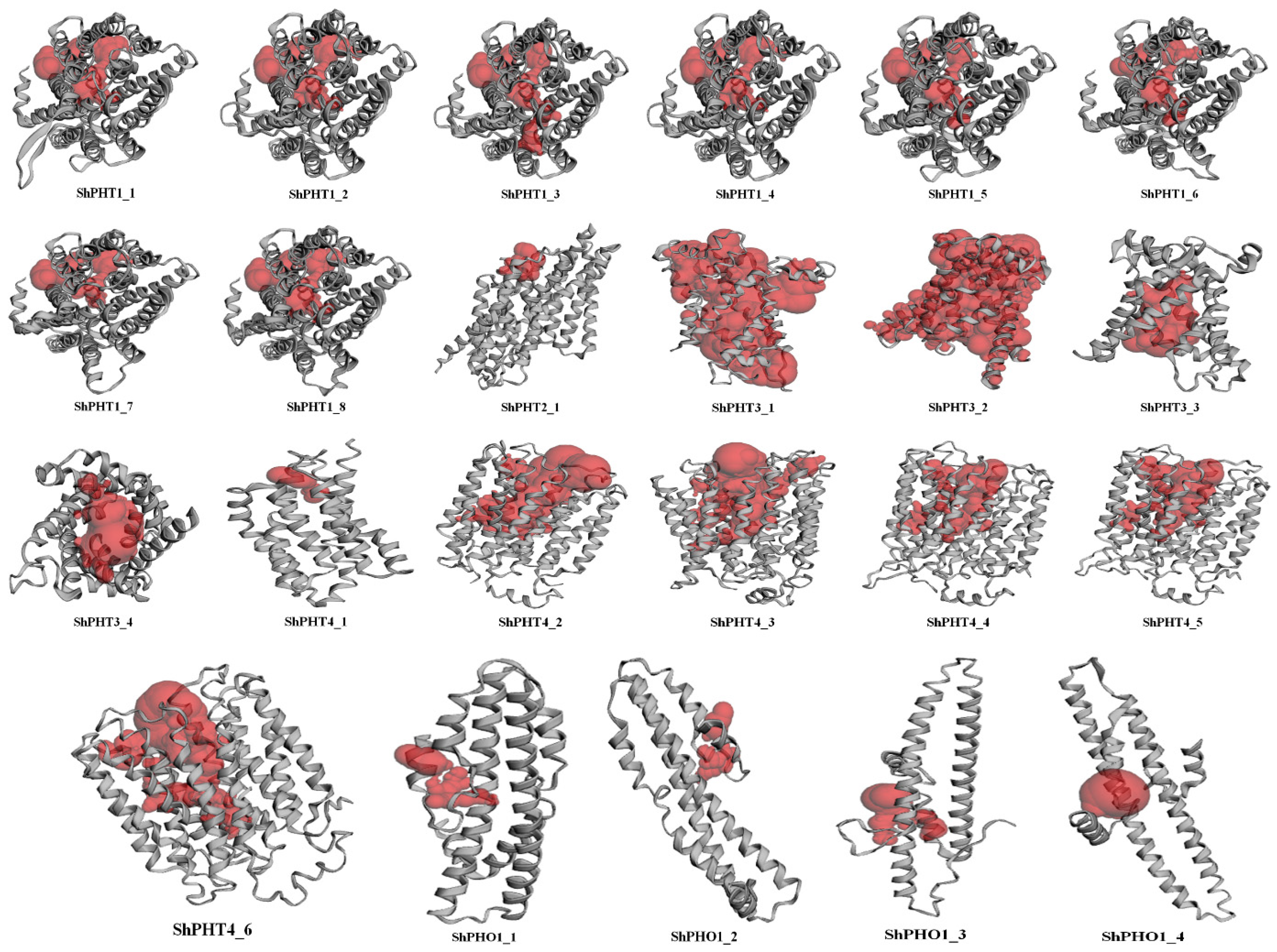 Sustainability 14 15893 g005 Sustainability 14 15893 g005