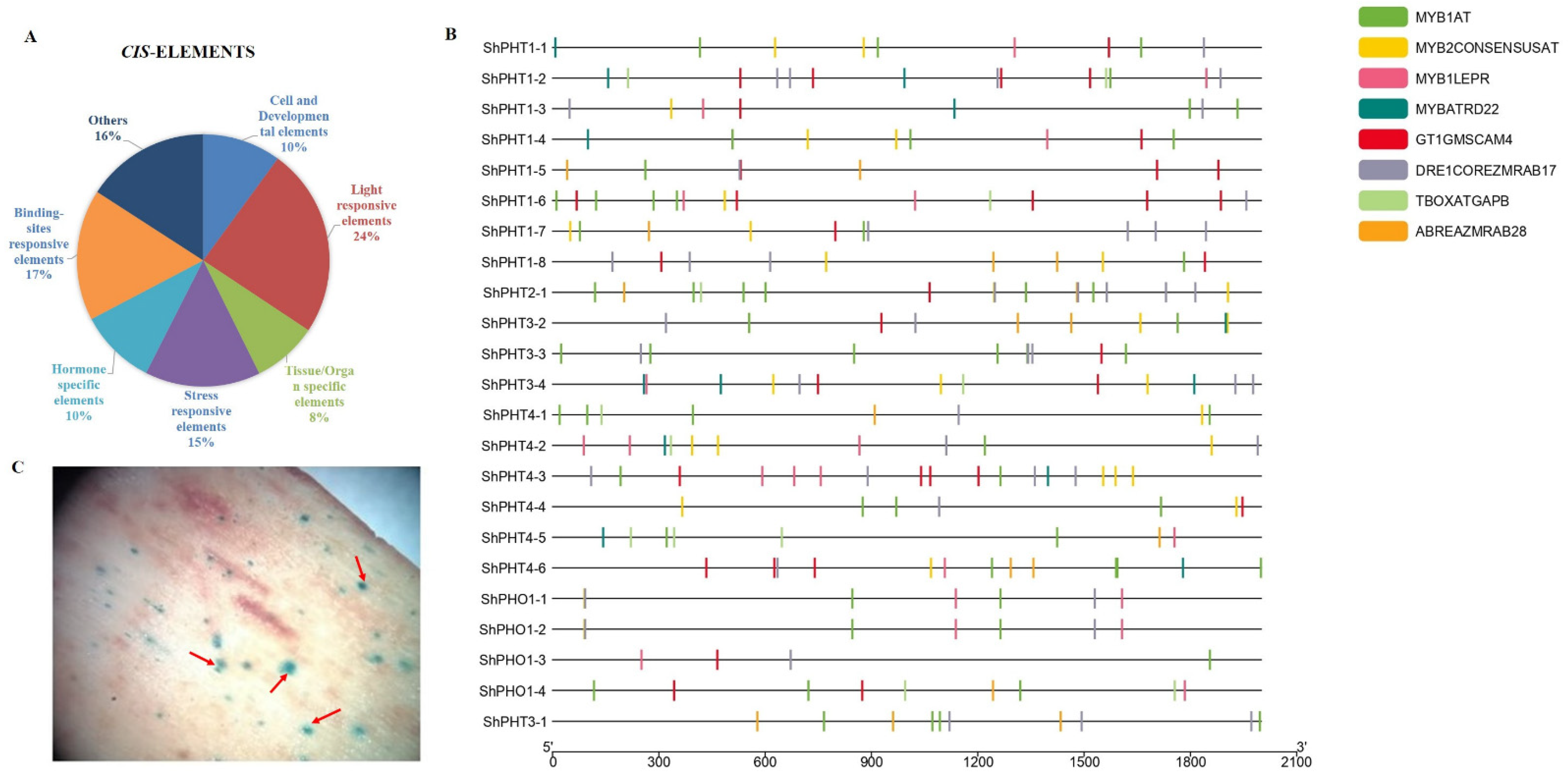 Sustainability 14 15893 g007 Sustainability 14 15893 g007